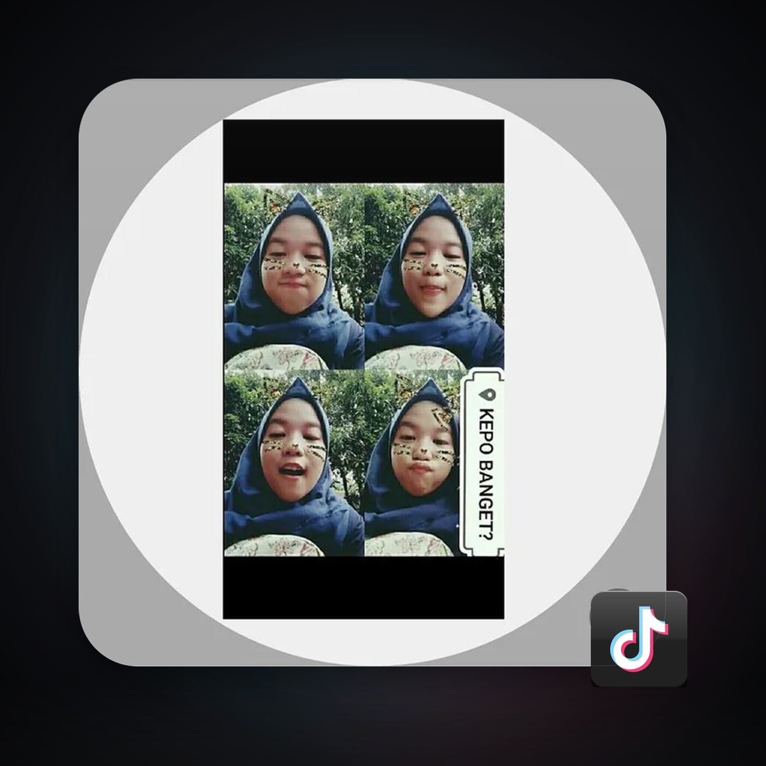 TikTok — HabibiAccounts