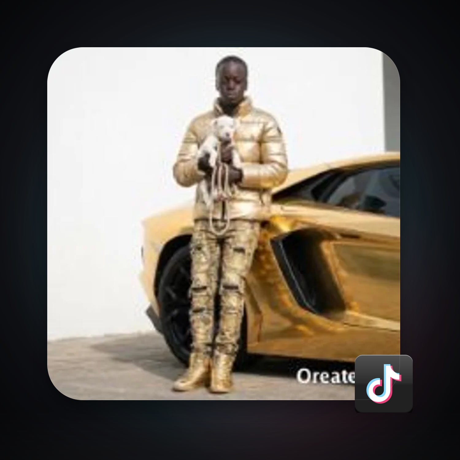 TikTok — HabibiAccounts