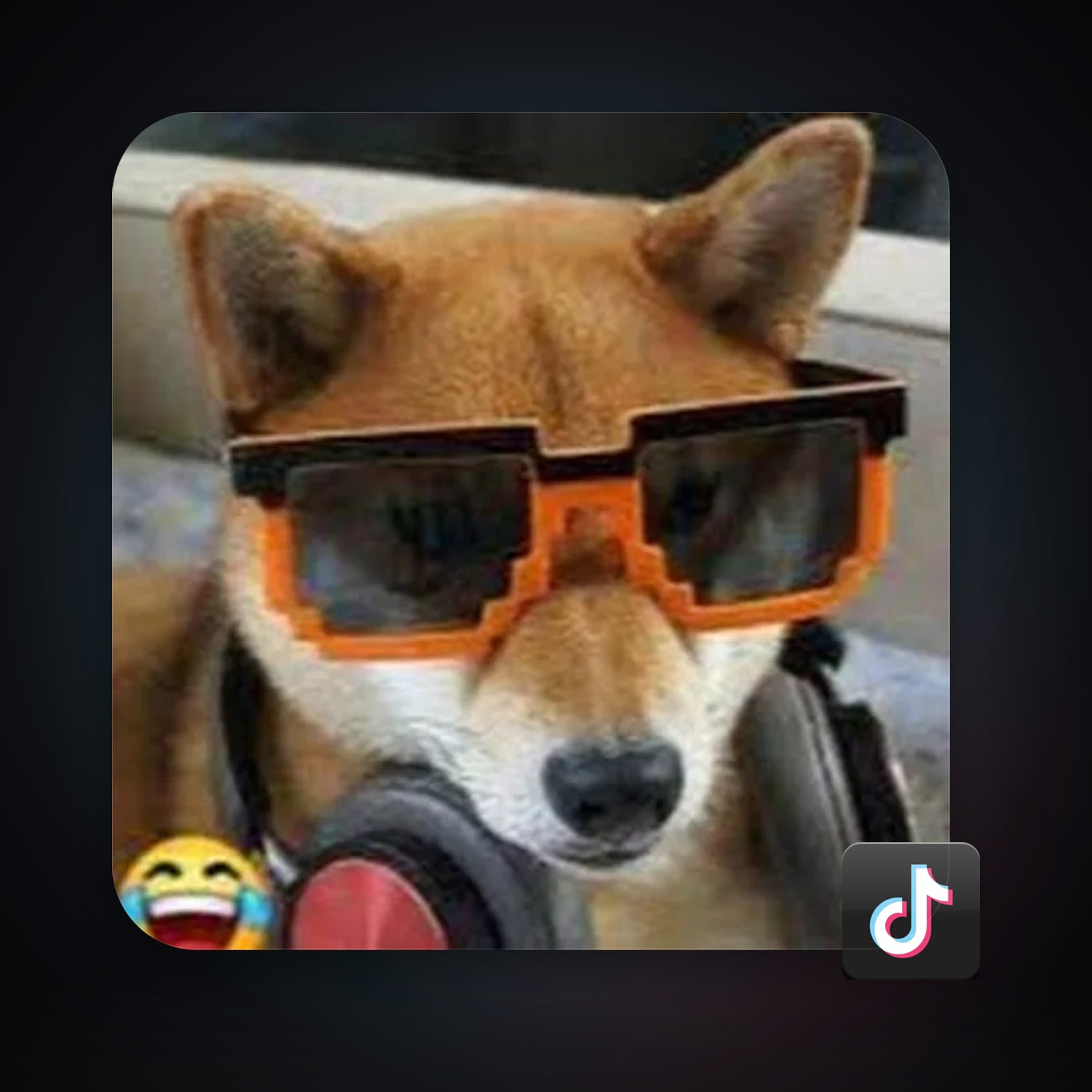 TikTok — HabibiAccounts