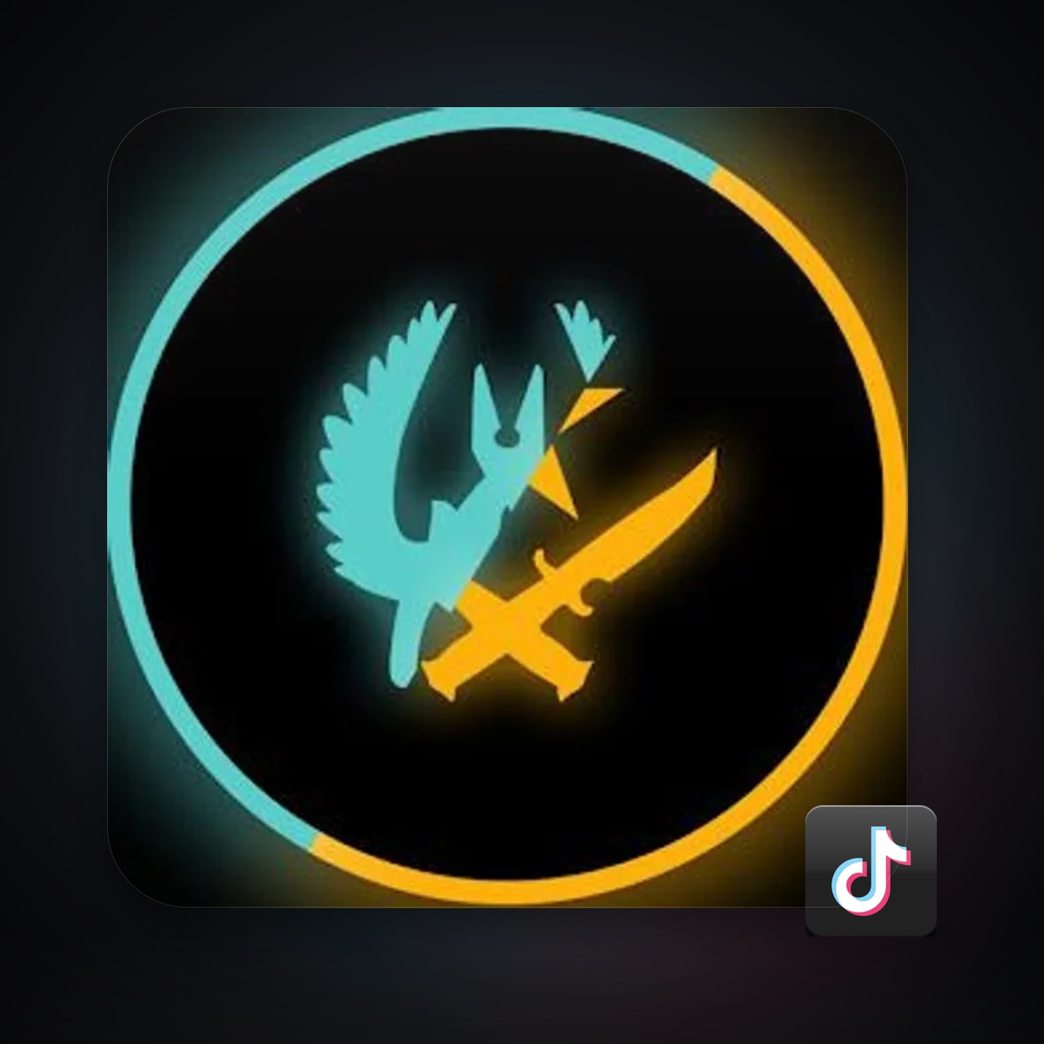 TikTok 1 followers — HabibiAccounts
