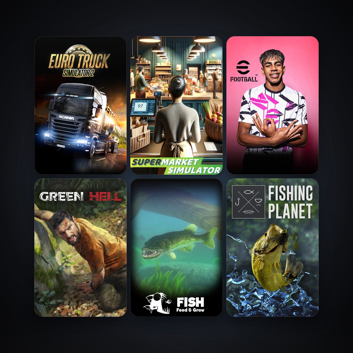 Euro Truck Simulator 2 + Fishing Planet, 27 games, clean — HabibiAccounts