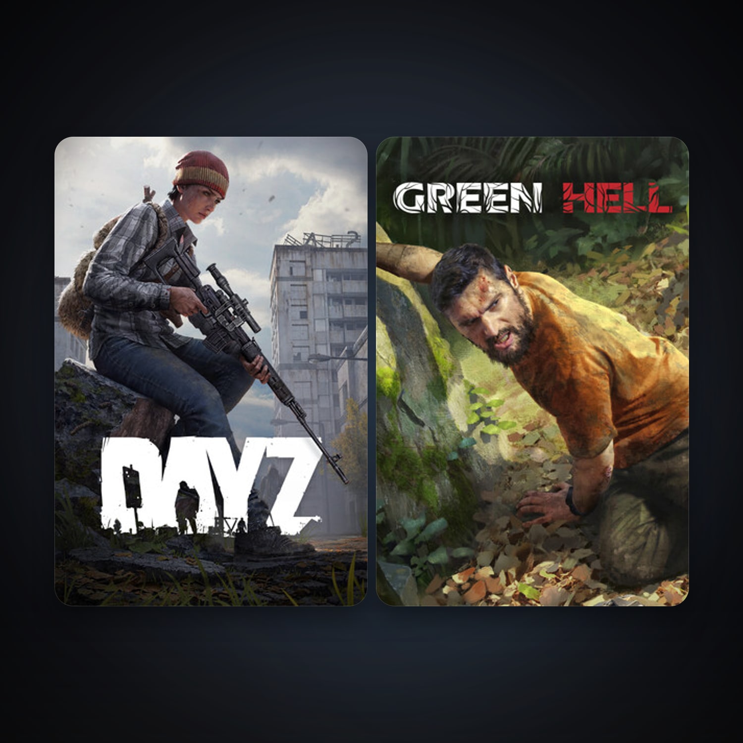 DayZ + Green Hell, 4 games, clean — HabibiAccounts