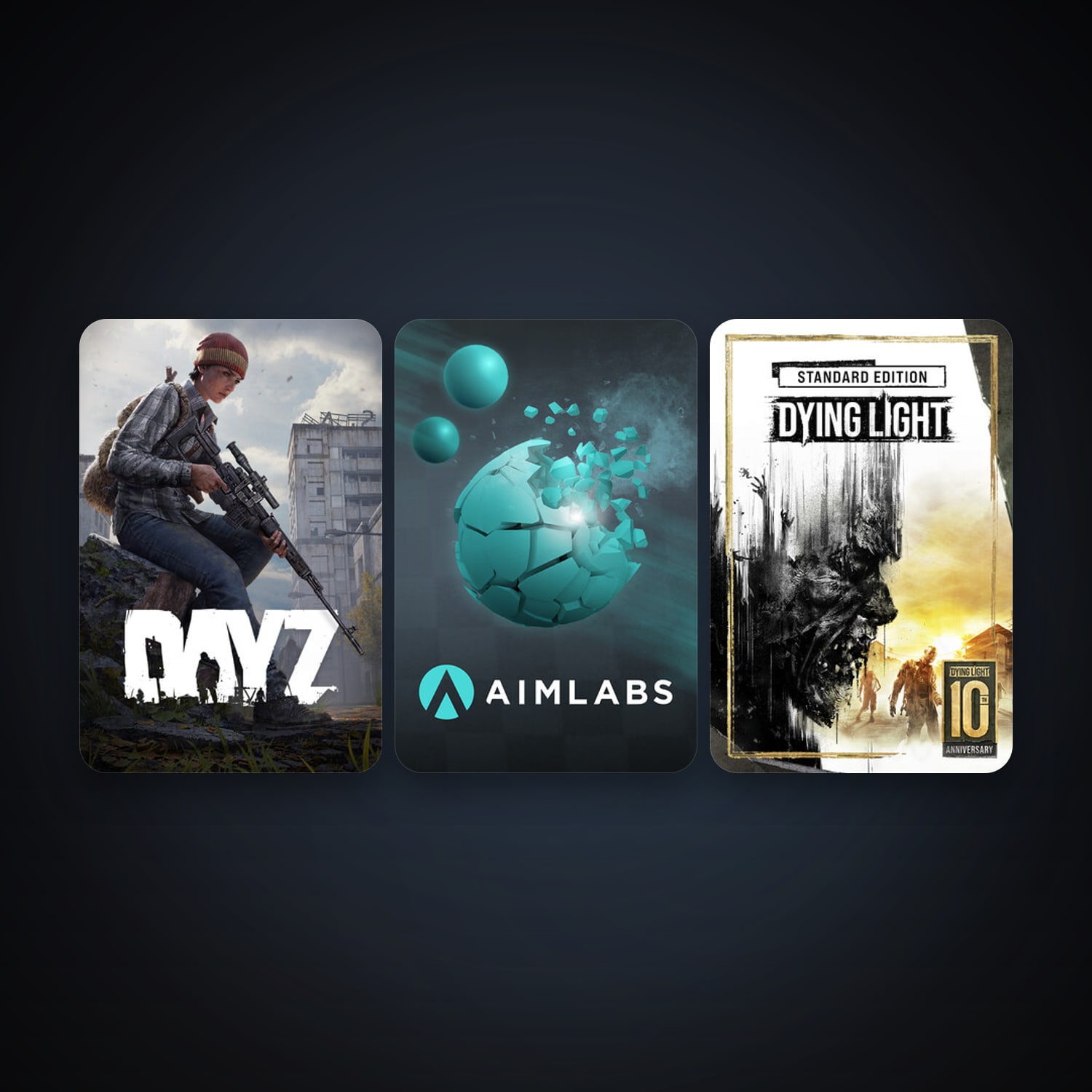 DayZ + Dying Light, 5 games, clean — HabibiAccounts