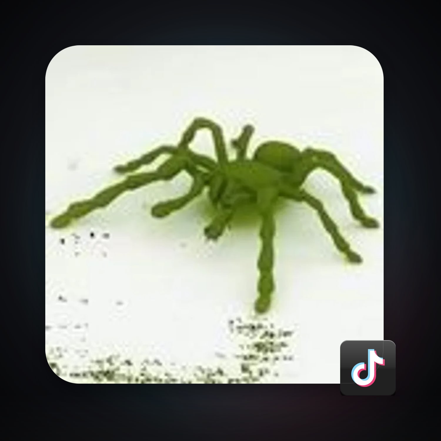 TikTok — HabibiAccounts
