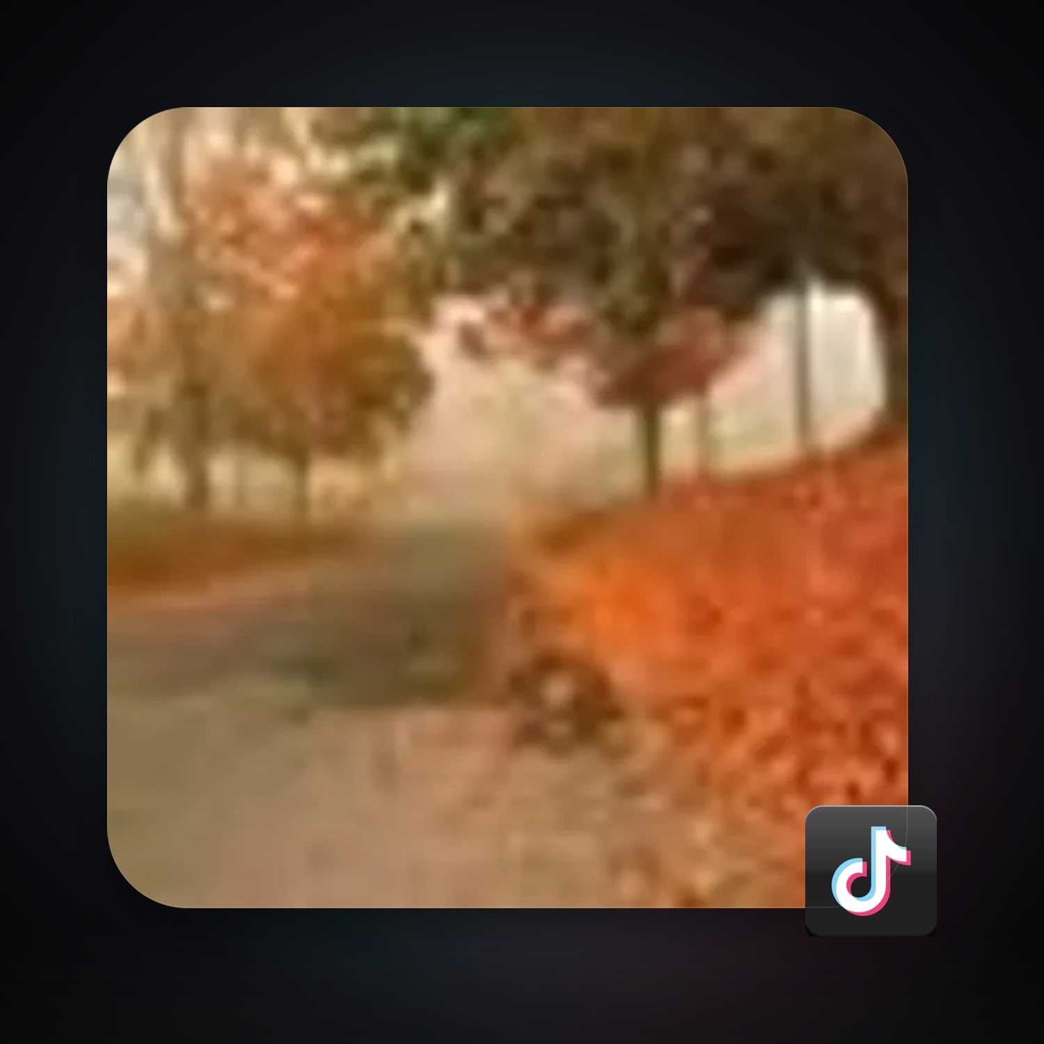 TikTok — HabibiAccounts