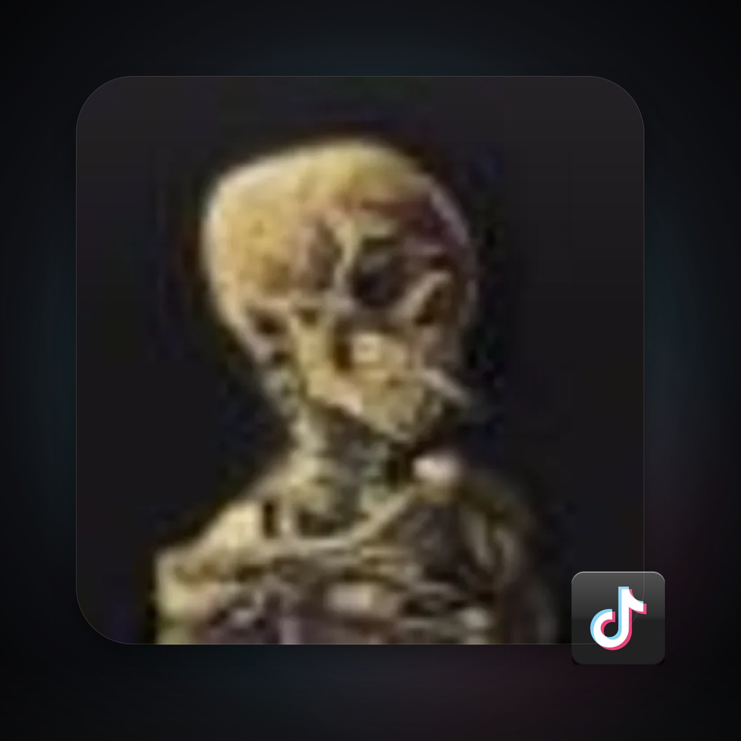 TikTok — HabibiAccounts