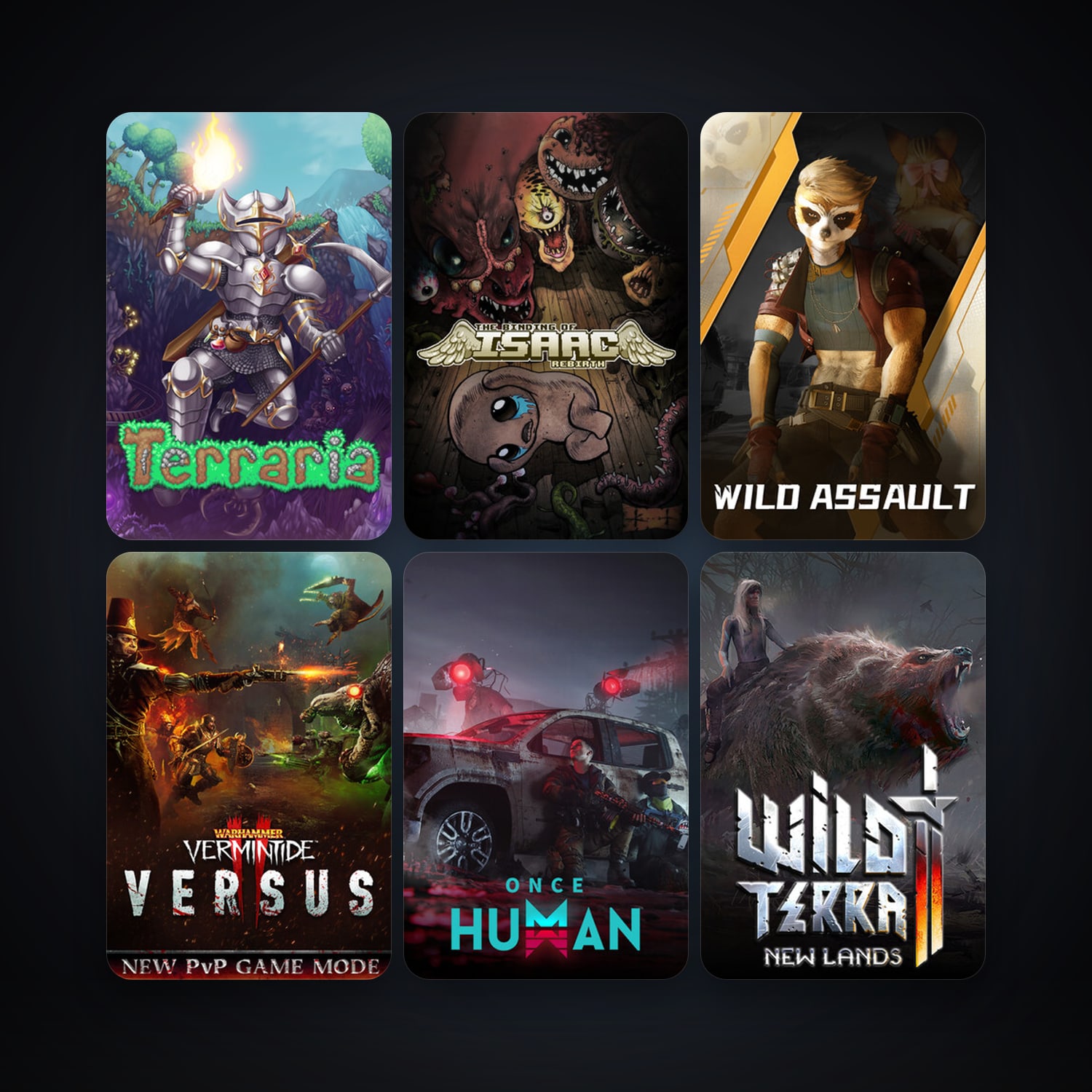 Terraria + The Binding of Isaac: Rebirth, 13 games, clean — HabibiAccounts