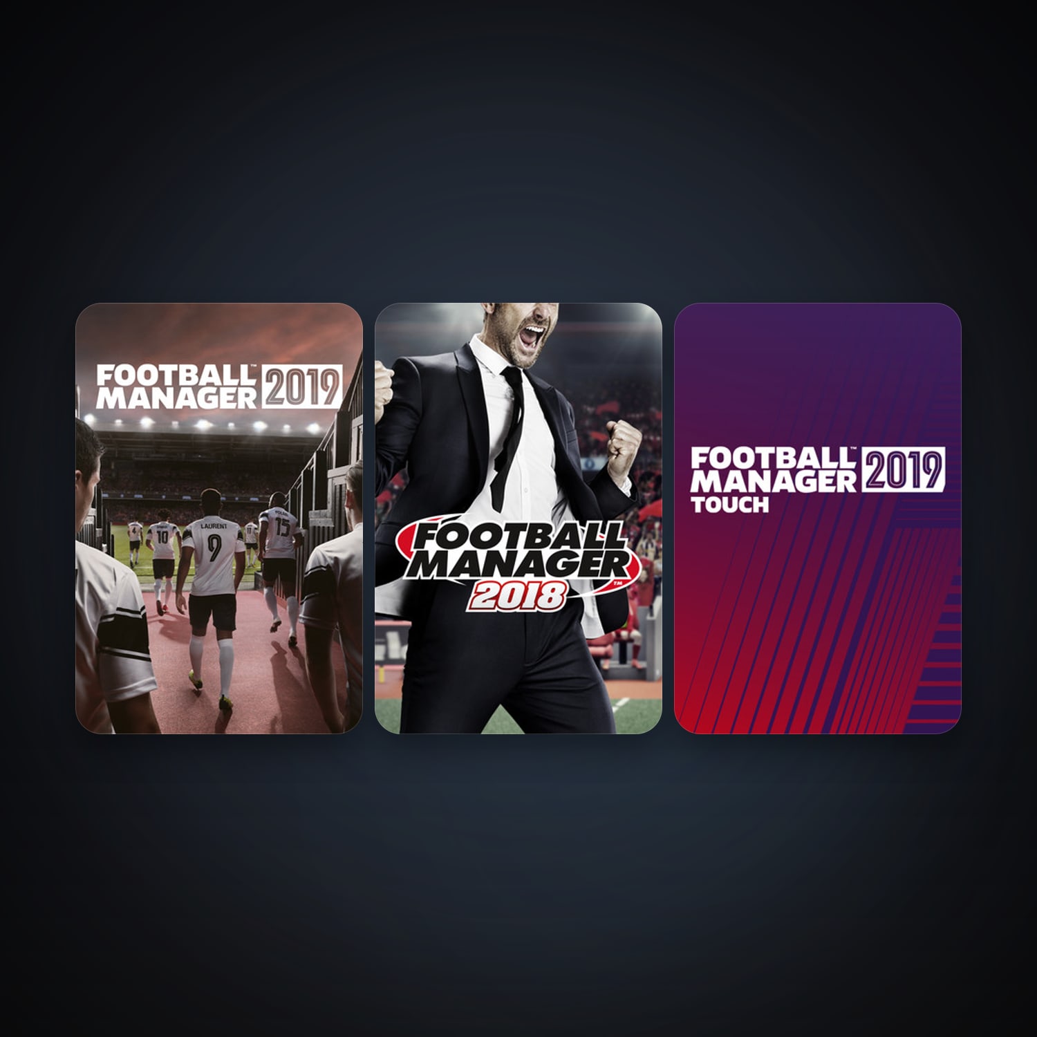 Football Manager 2018 + Football Manager 2019, 4 games, clean — HabibiAccounts