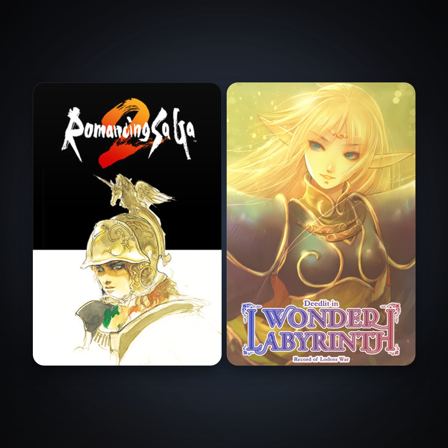 Romancing SaGa 2 + Record of Lodoss War-Deedlit in Wonder Labyrinth-, 2 games, clean — HabibiAccounts