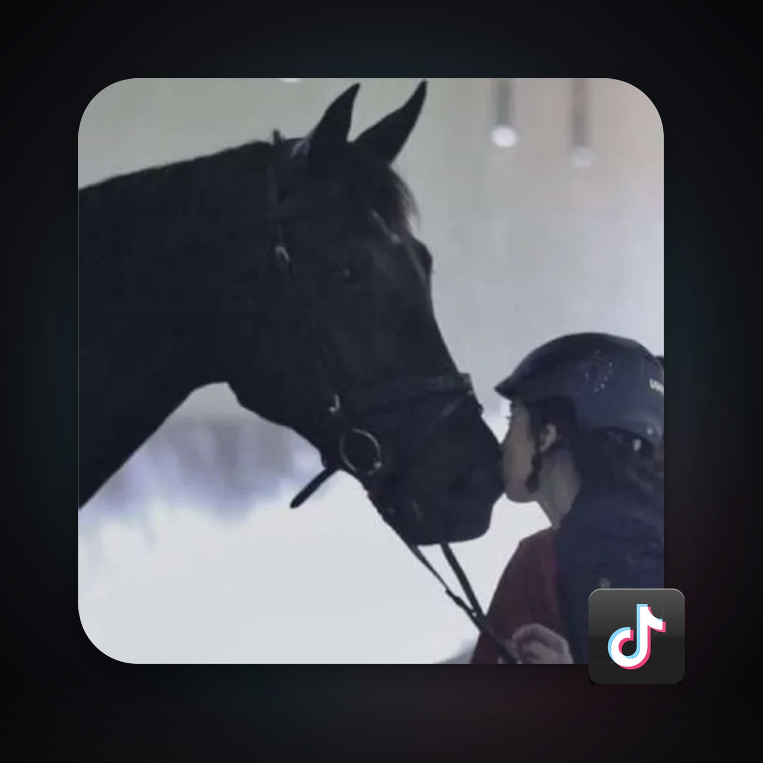 TikTok — HabibiAccounts