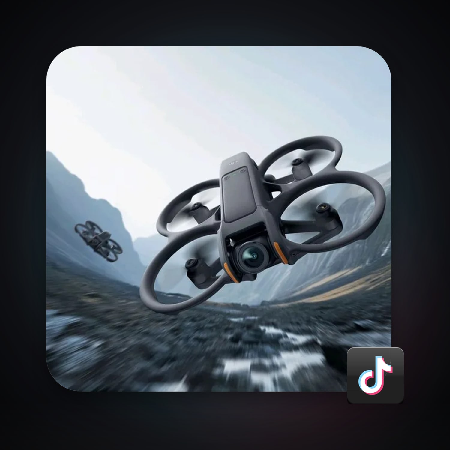 TikTok 65.4K followers — HabibiAccounts