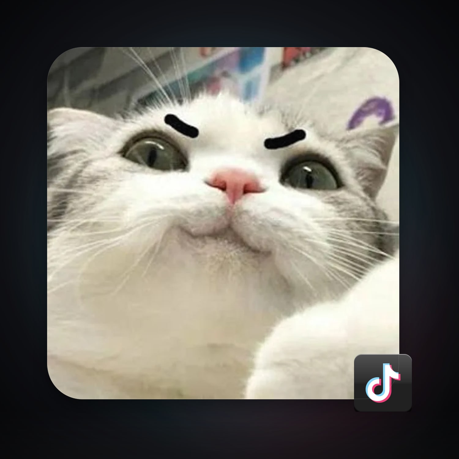 TikTok 1 followers — HabibiAccounts