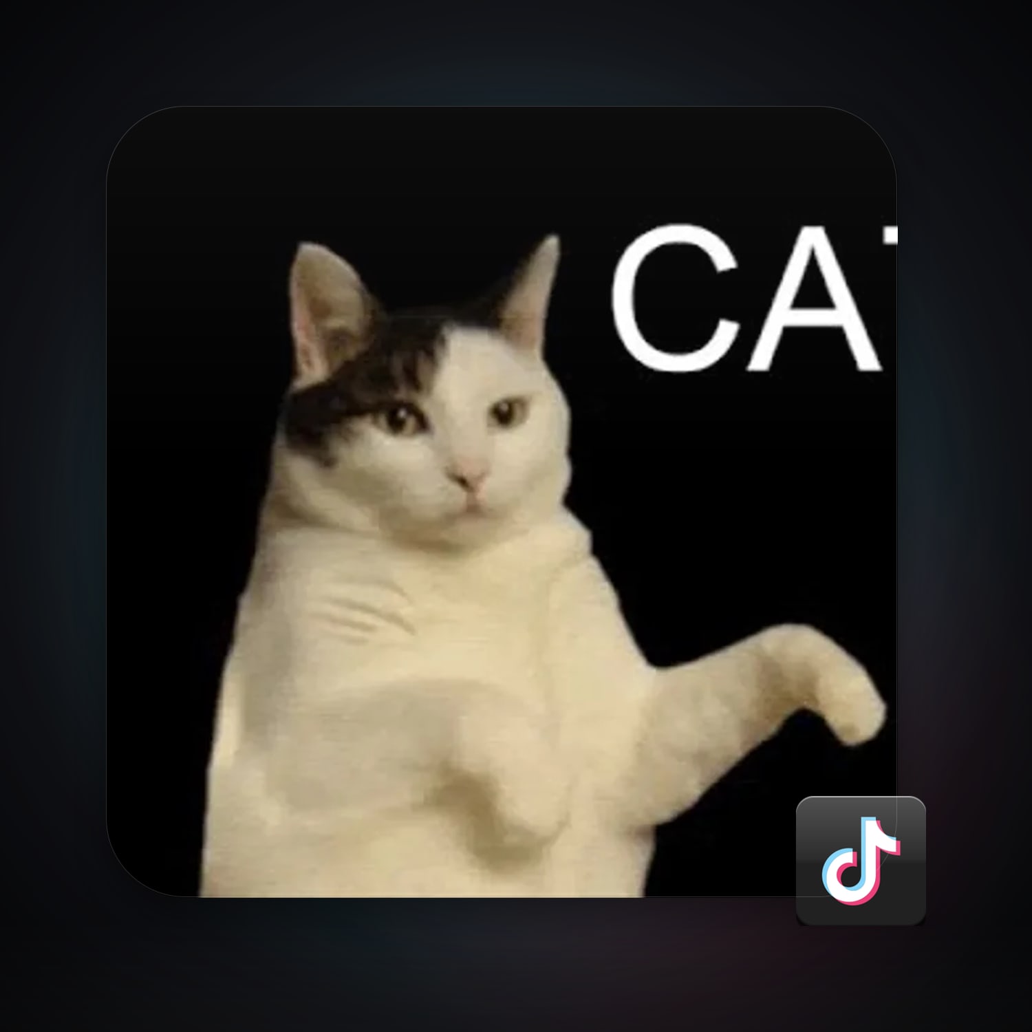 TikTok 2 followers — HabibiAccounts