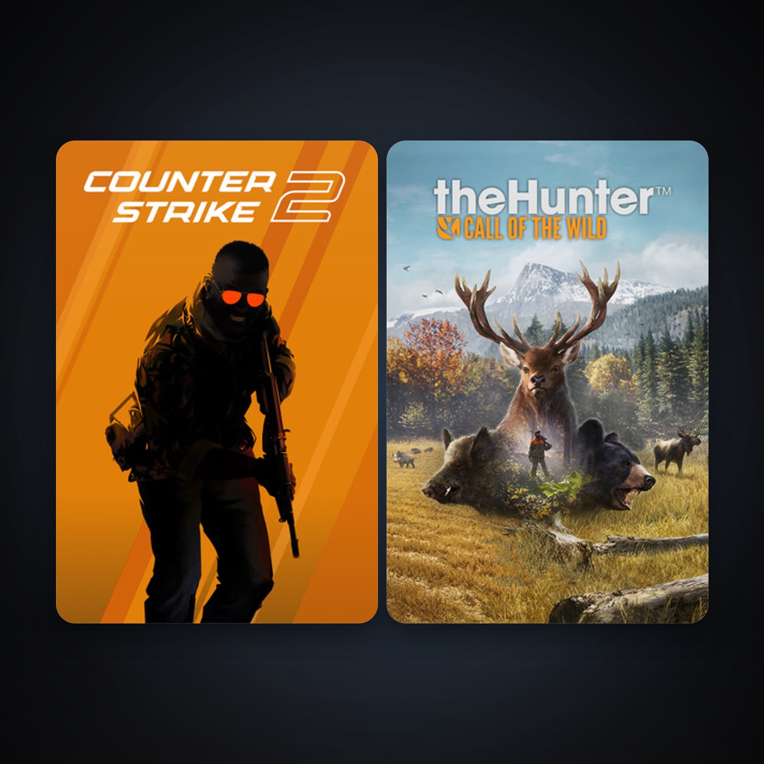 CS2 Prime + theHunter: Call of the Wild, 3 games, clean — HabibiAccounts