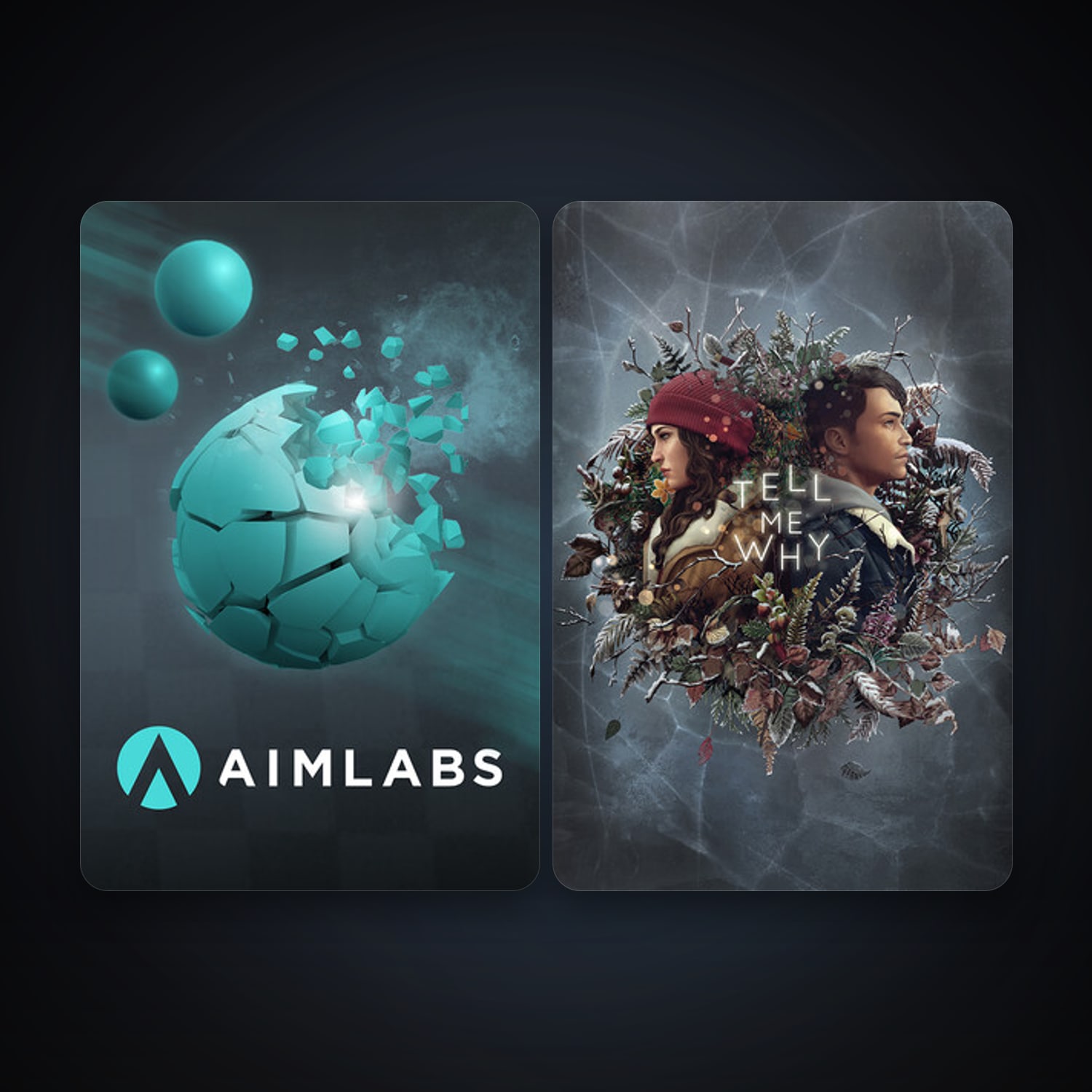 Aimlabs + Tell Me Why, 4 games, clean — HabibiAccounts