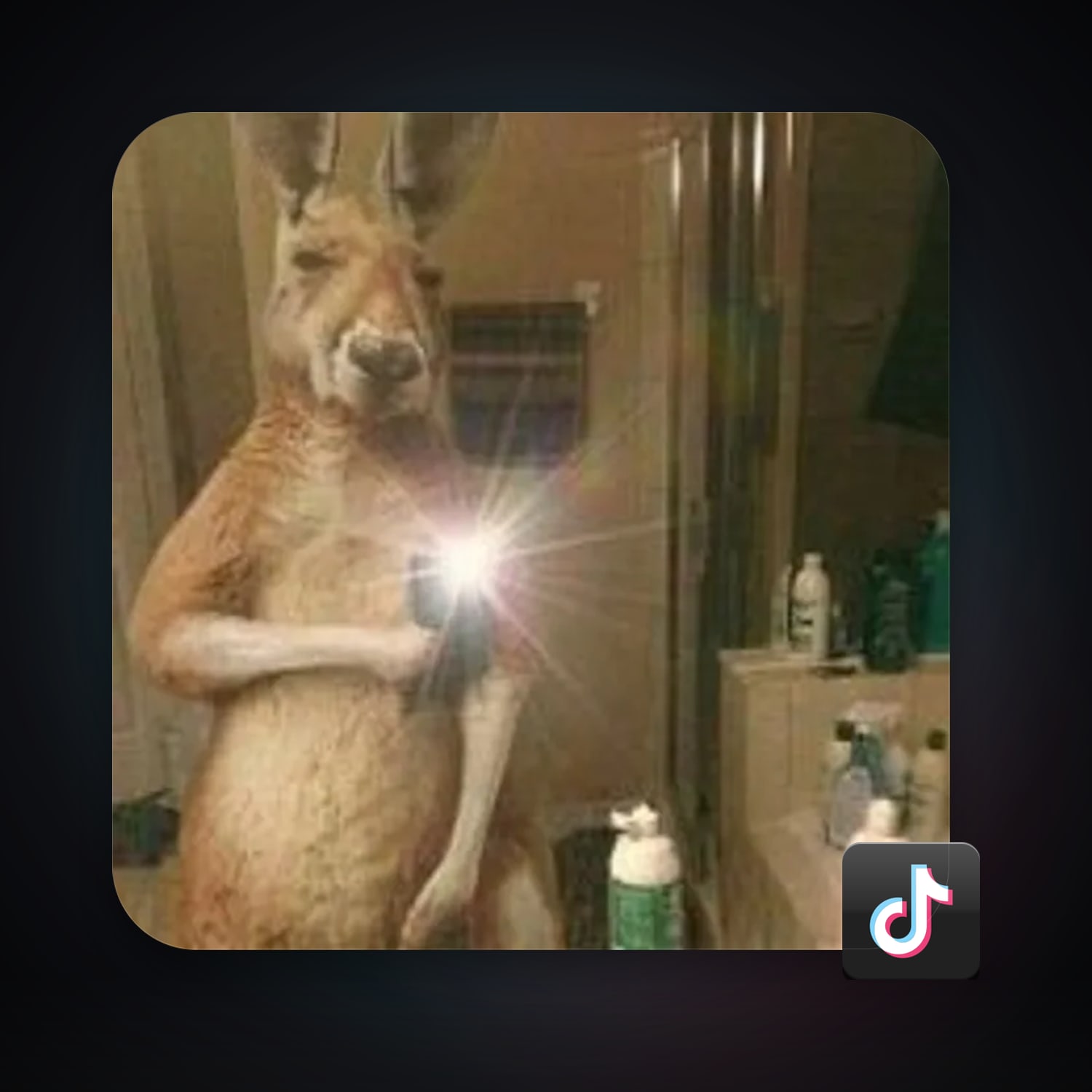 TikTok — HabibiAccounts