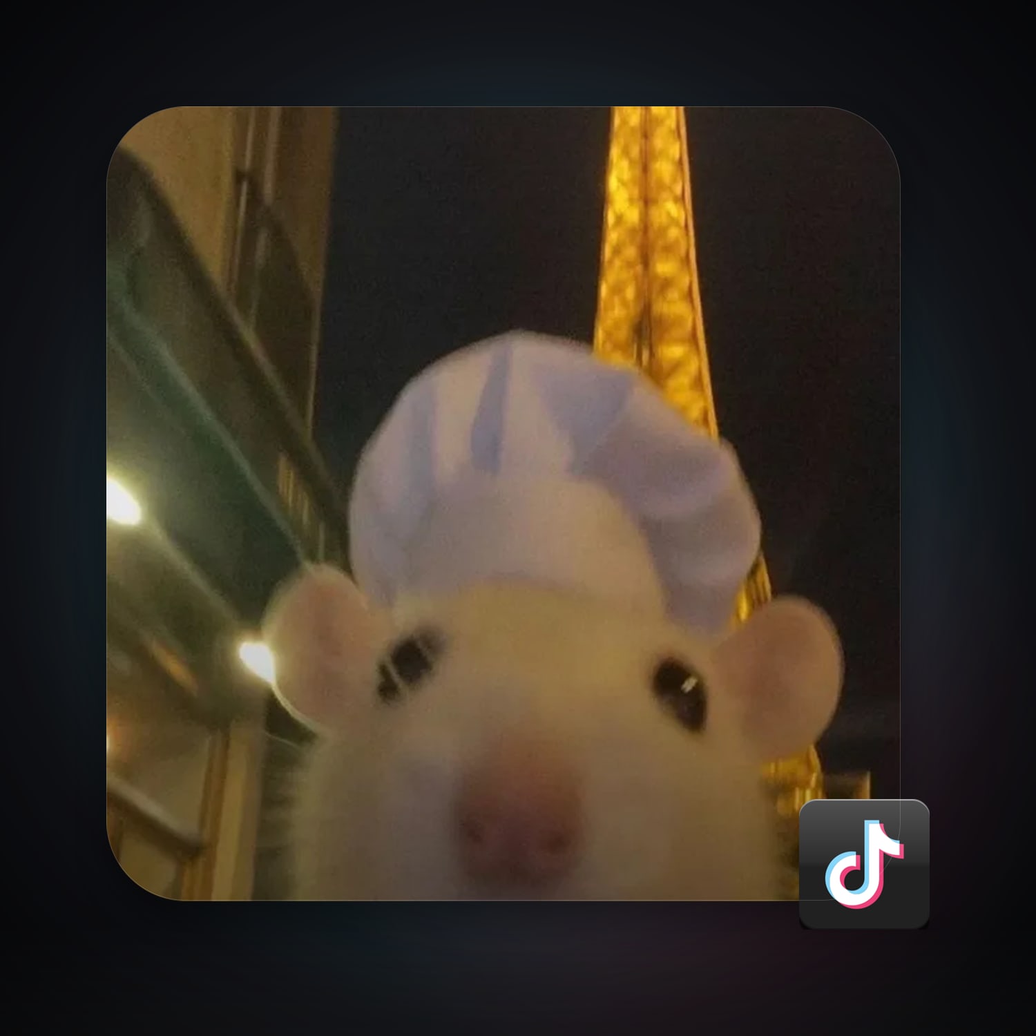 TikTok 46 followers — HabibiAccounts