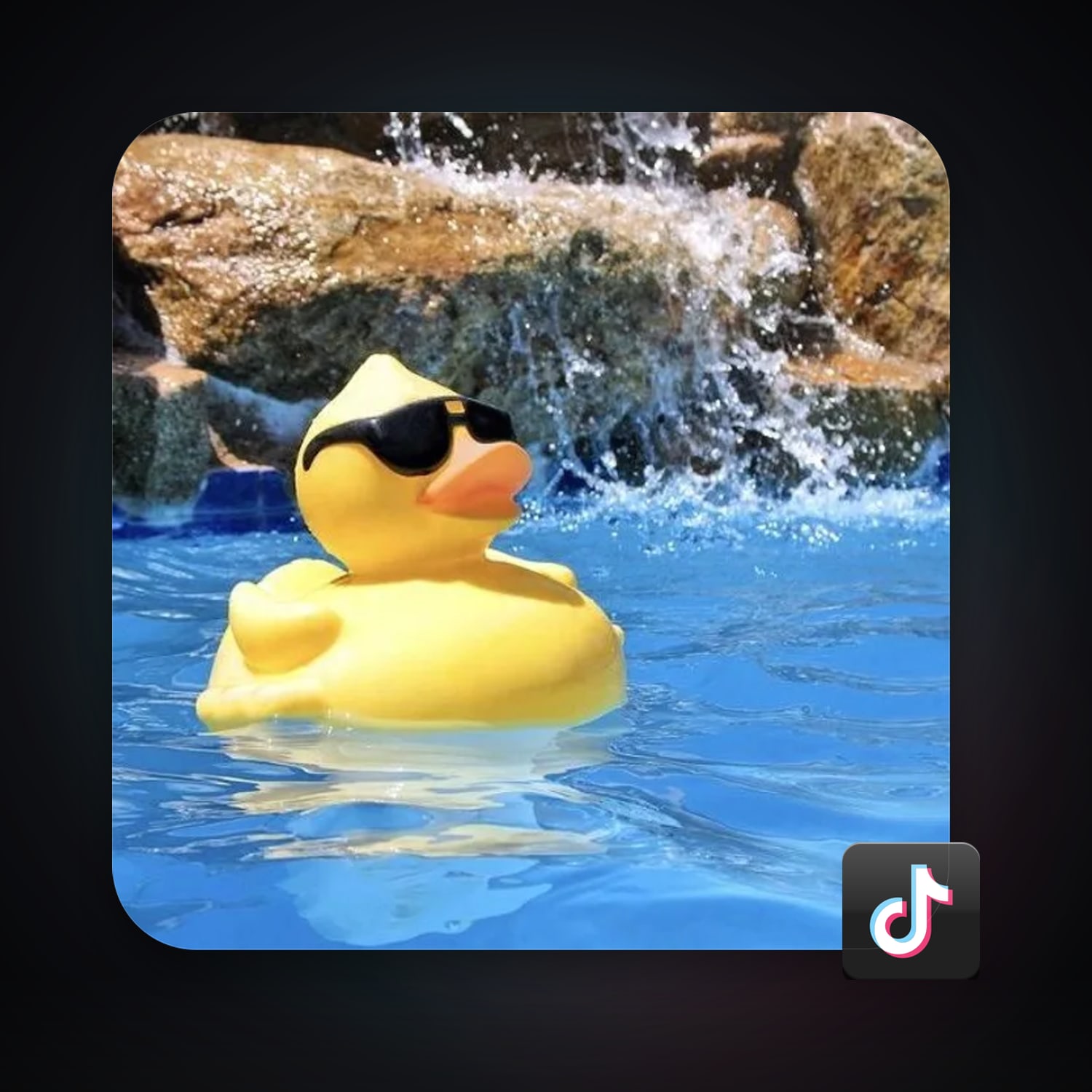 TikTok 14.4K followers — HabibiAccounts