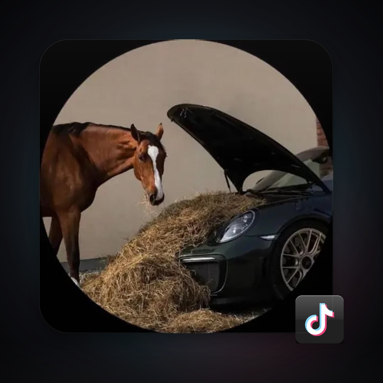 TikTok 3 followers — HabibiAccounts