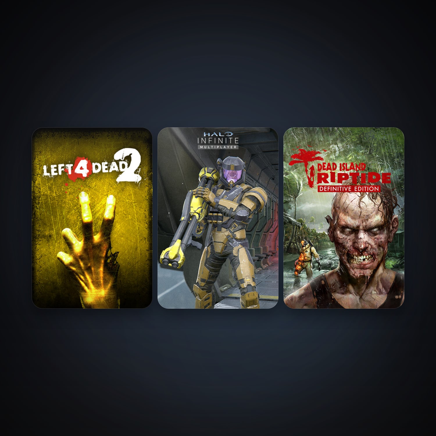 Left 4 Dead 2 + Dead Island: Riptide Definitive Edition, 4 games, clean — HabibiAccounts