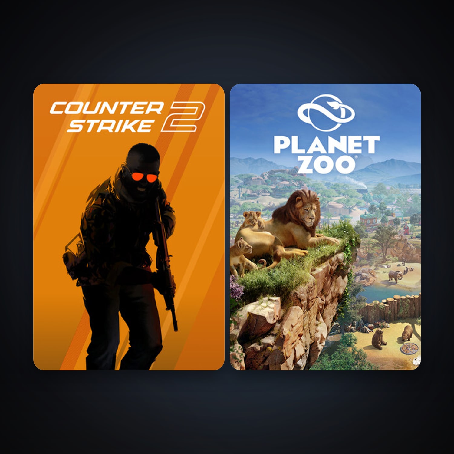 CS2 Prime + Planet Zoo, 2 games, Steam 10, clean — HabibiAccounts