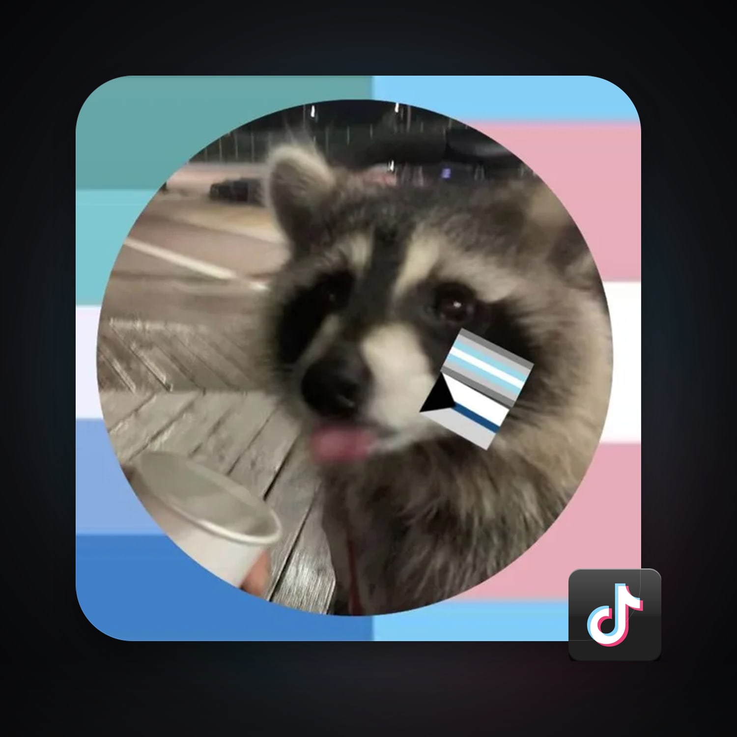 TikTok 14 followers — HabibiAccounts
