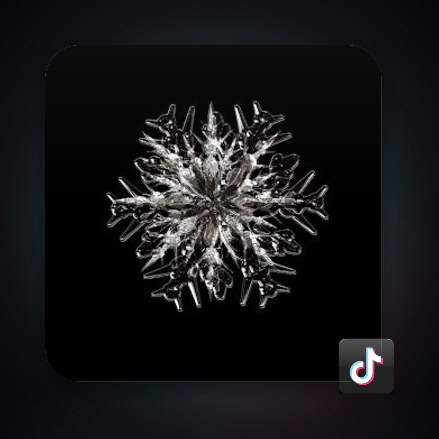 TikTok — HabibiAccounts