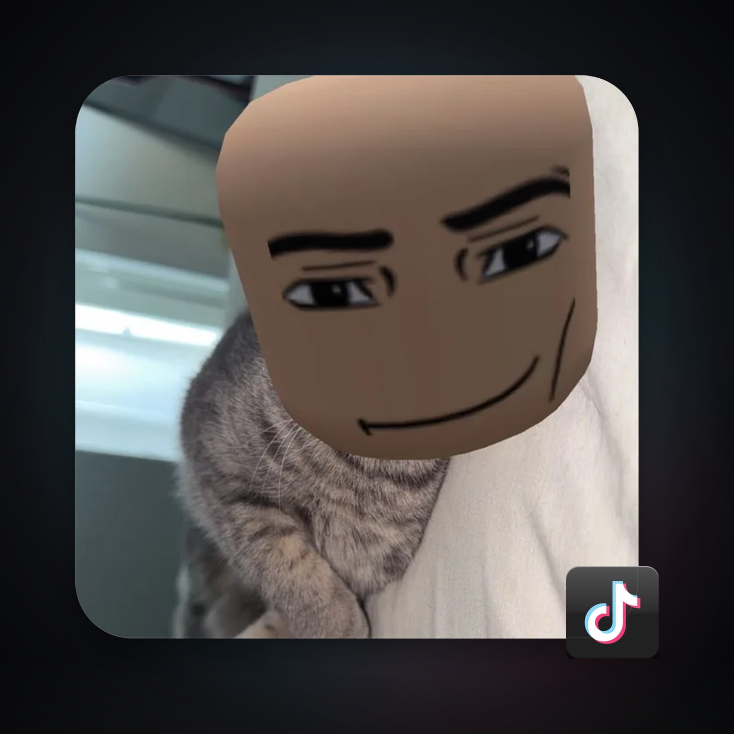 TikTok 277 followers — HabibiAccounts