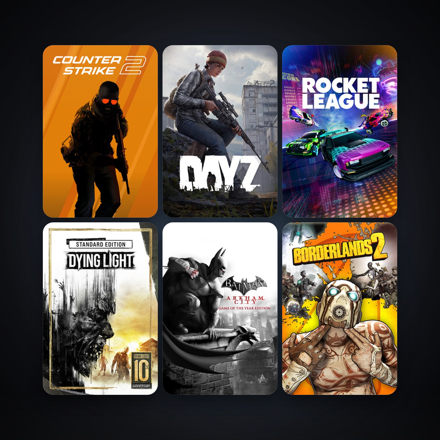 CS2 Prime + Borderlands 2, 20 games, clean — HabibiAccounts