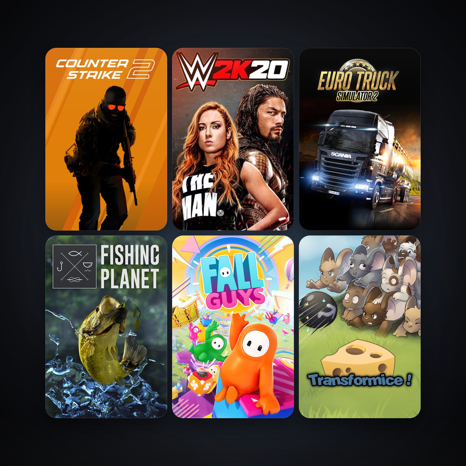CS2 Prime + Euro Truck Simulator 2, 8 games, clean — HabibiAccounts