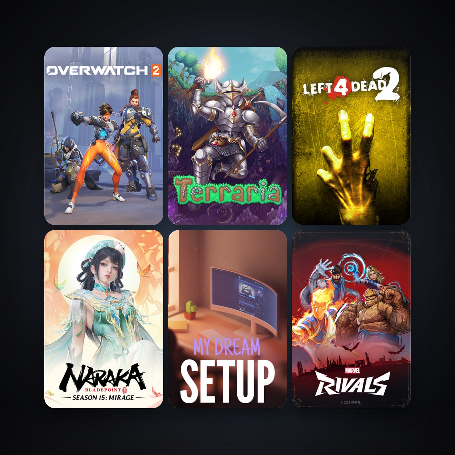 Left 4 Dead 2 + Terraria, 13 games, clean — HabibiAccounts