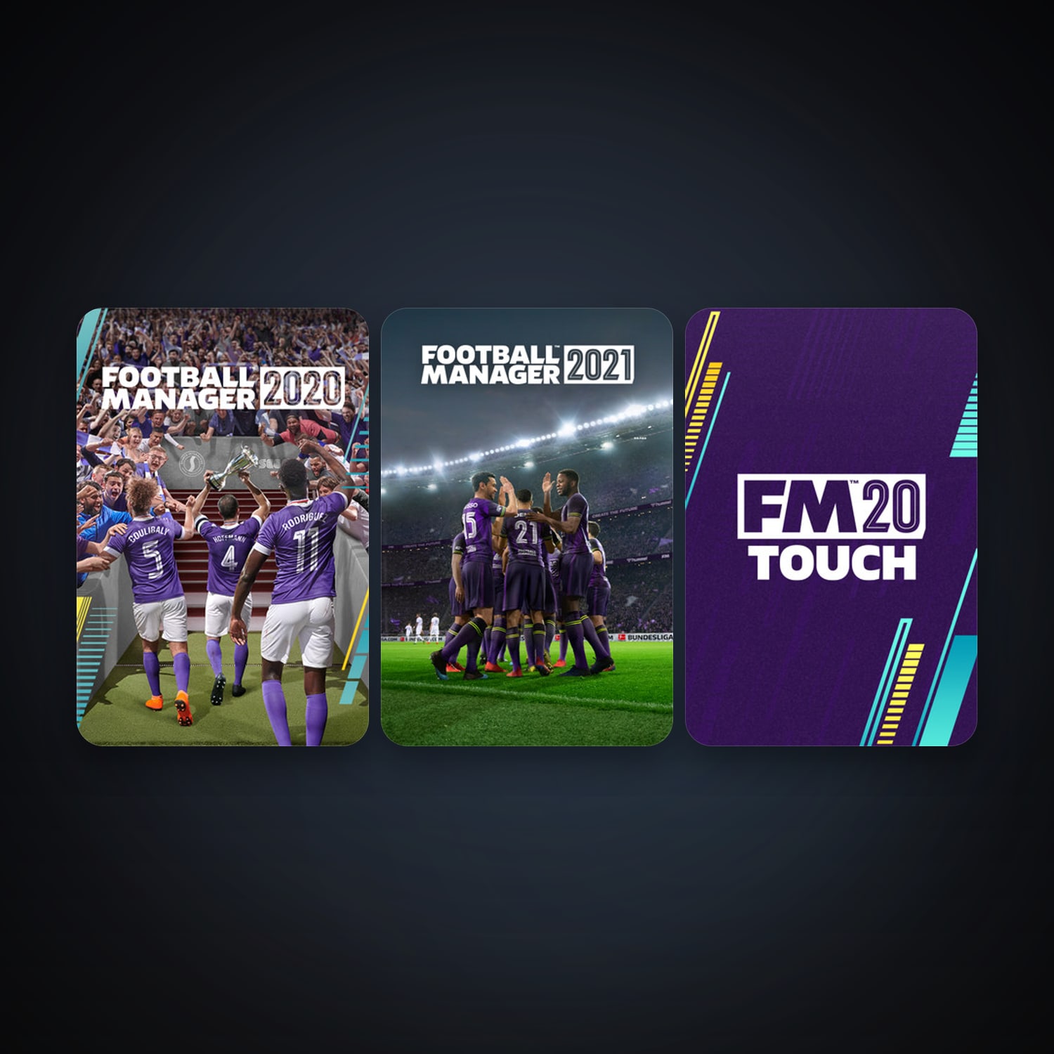 Football Manager 2020 + Football Manager 2020 Touch, 4 games, clean — HabibiAccounts