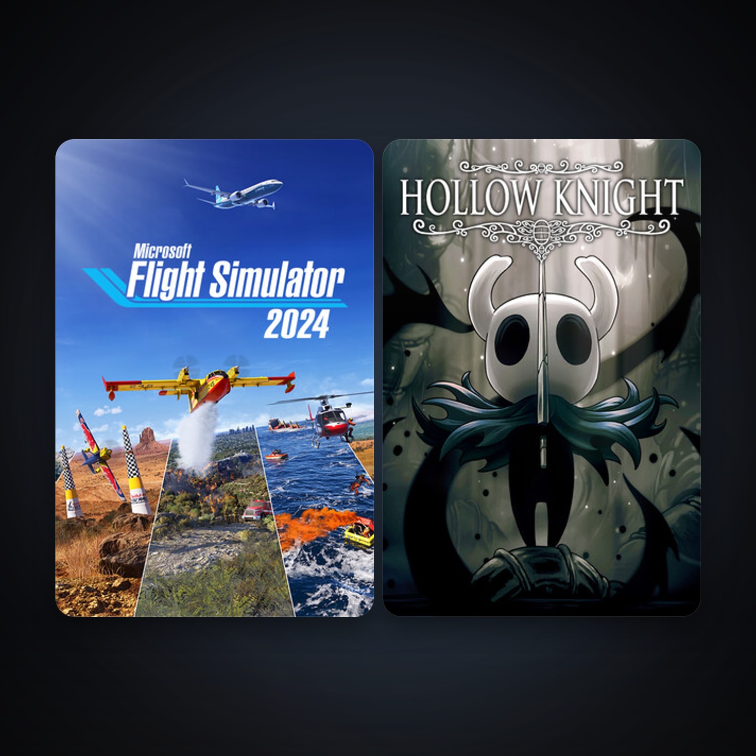 Hollow Knight + Microsoft Flight Simulator 2024, 2 games, clean — HabibiAccounts