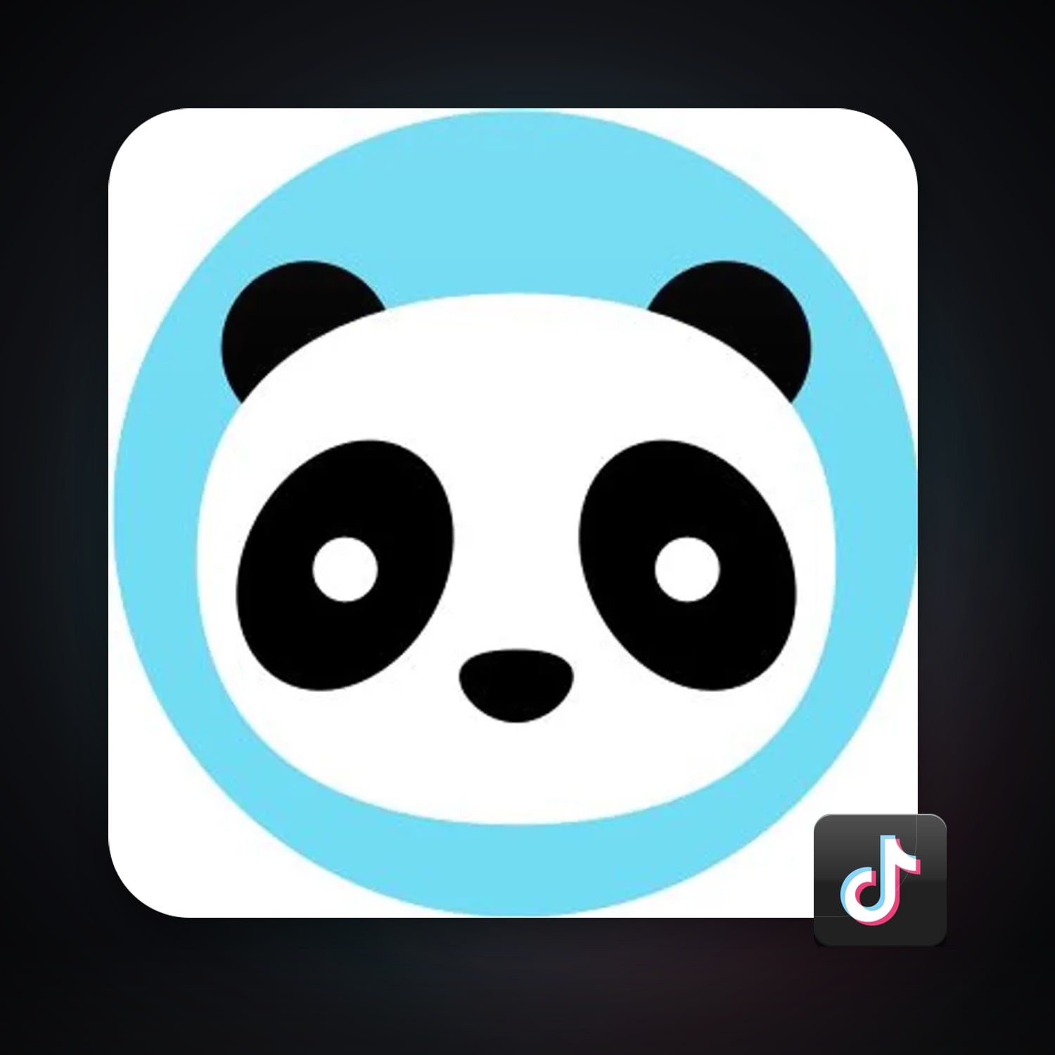 TikTok · 262650288 — HabibiAccounts