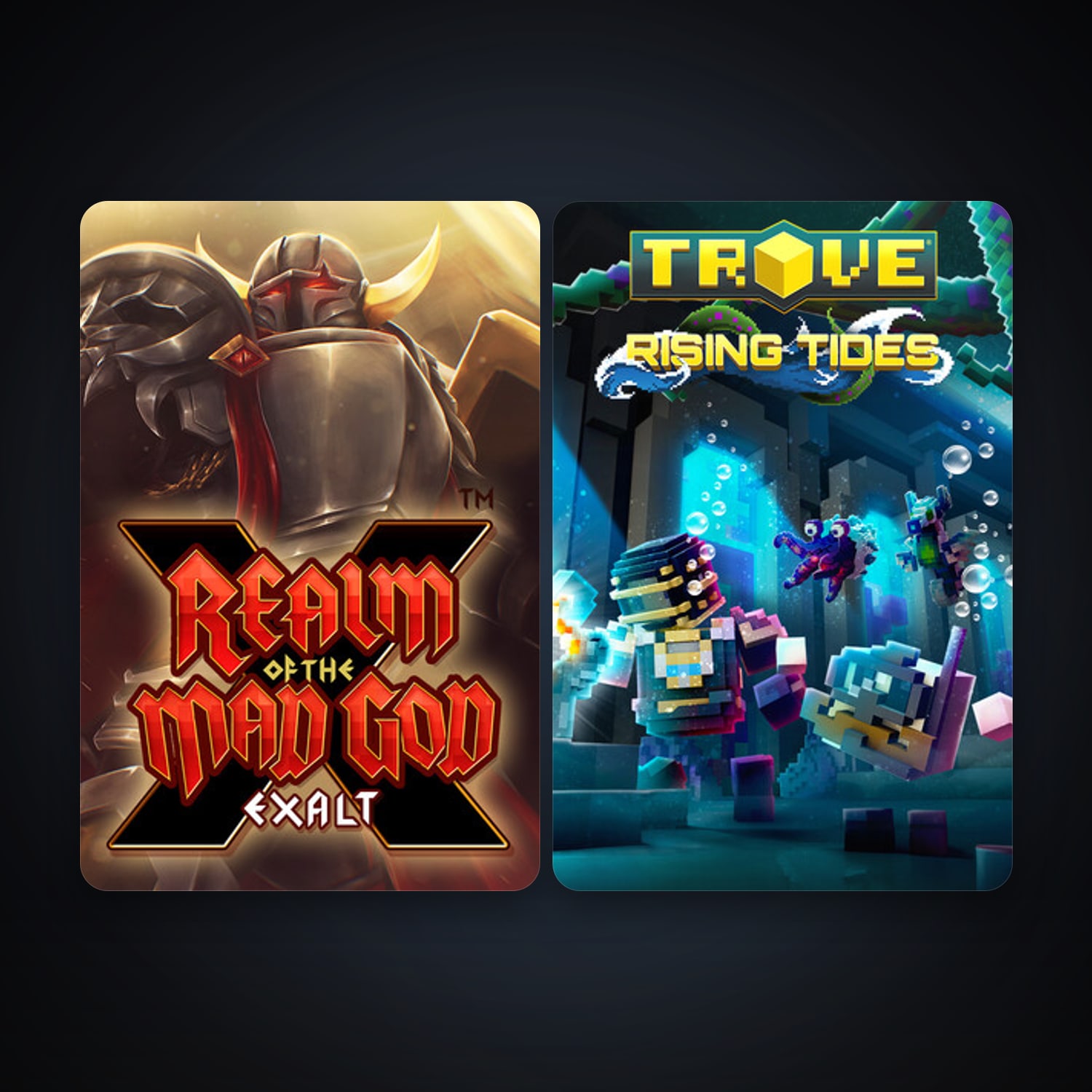 Realm of the Mad God + Trove, 3 games, clean — HabibiAccounts