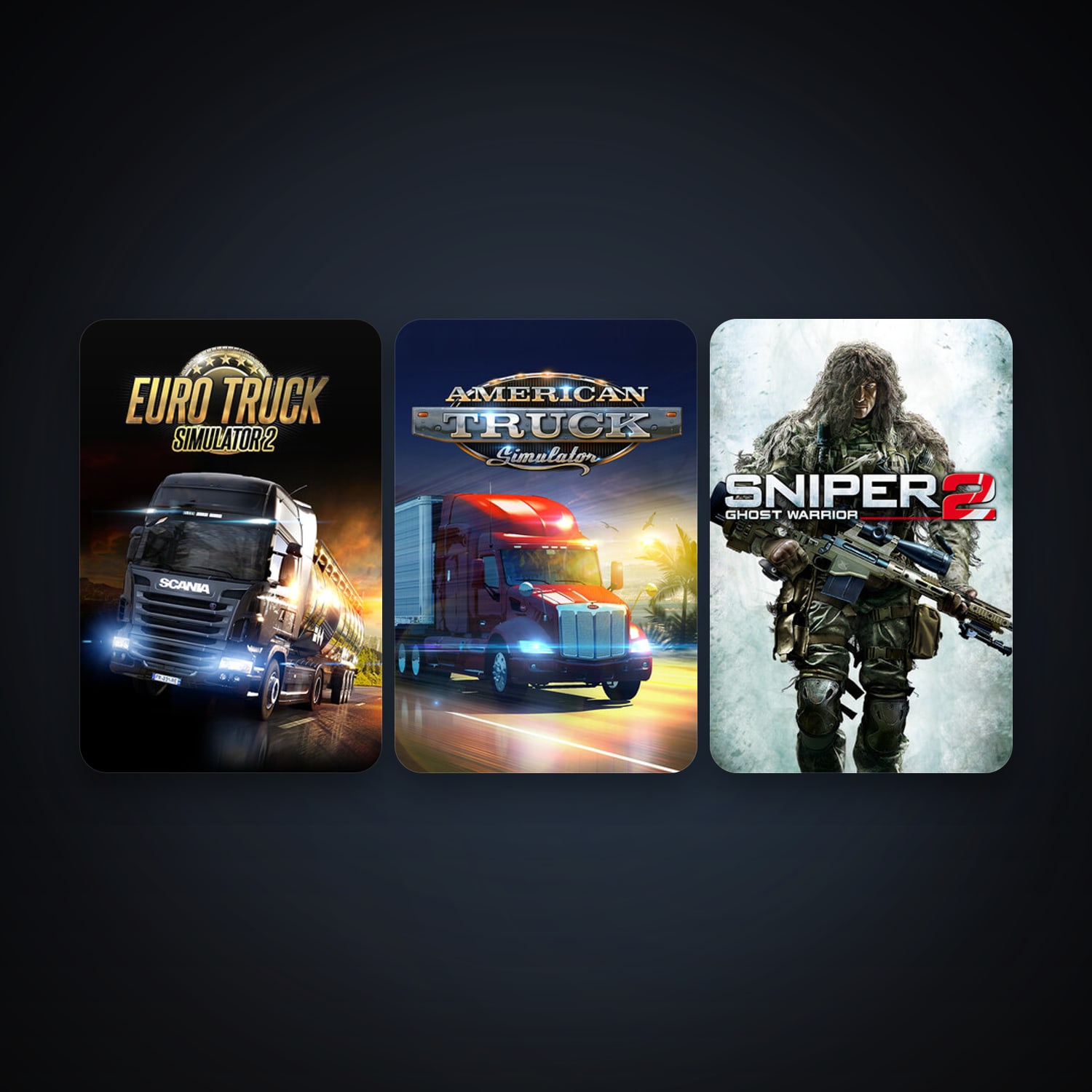 Sniper: Ghost Warrior 2 + Euro Truck Simulator 2, 5 games, clean — HabibiAccounts