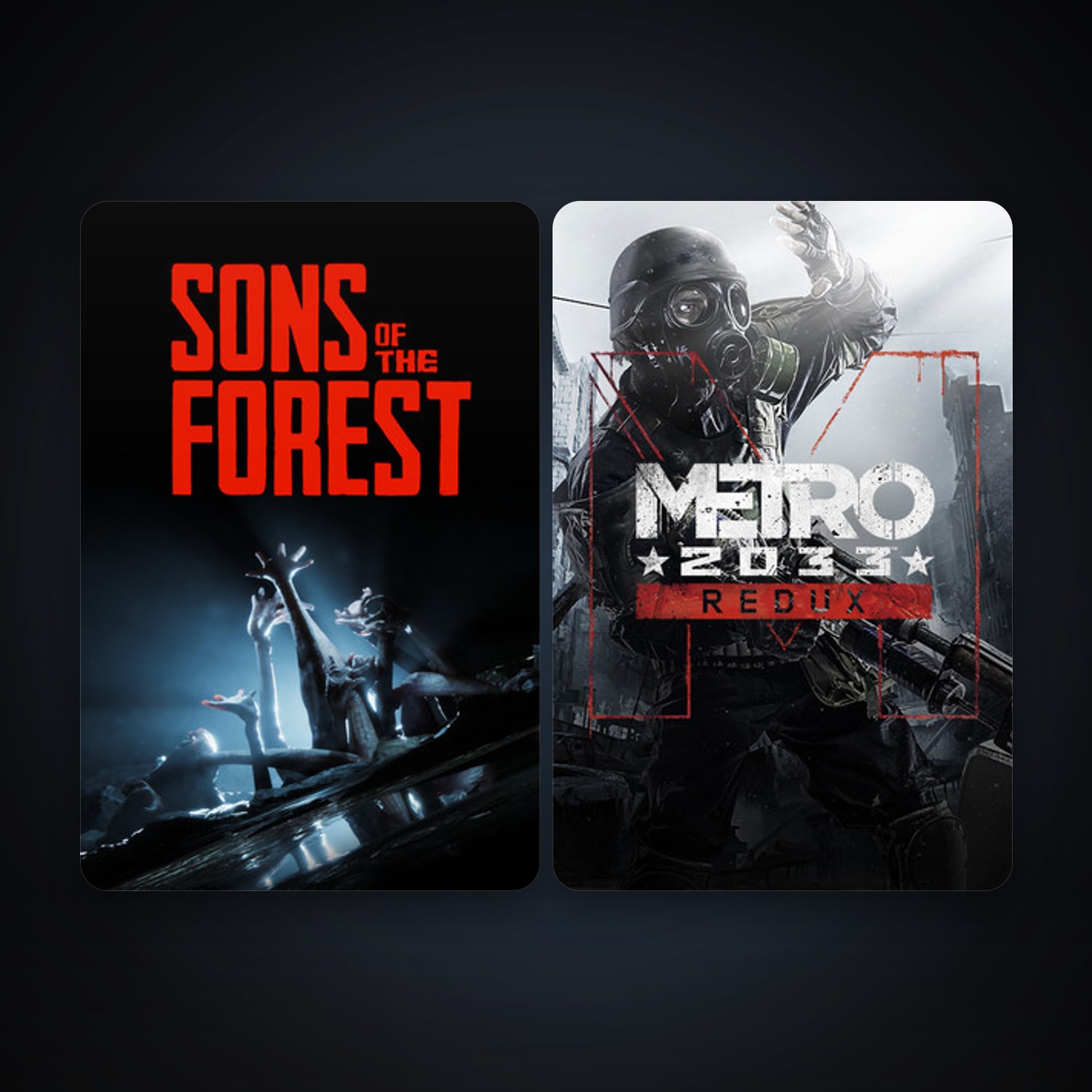 Metro 2033 Redux + Sons Of The Forest, 3 games, clean — HabibiAccounts