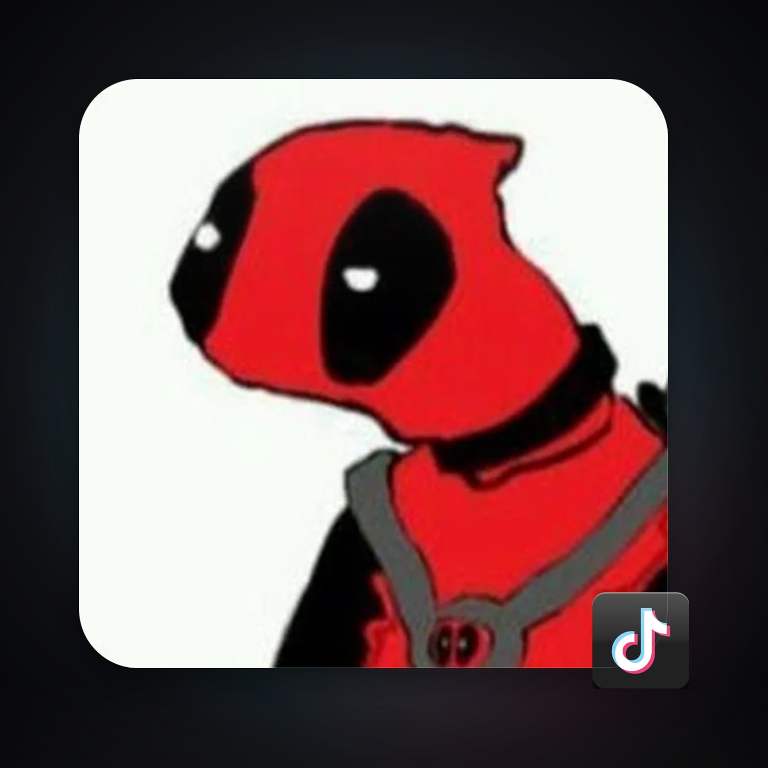 TikTok 5 followers — HabibiAccounts