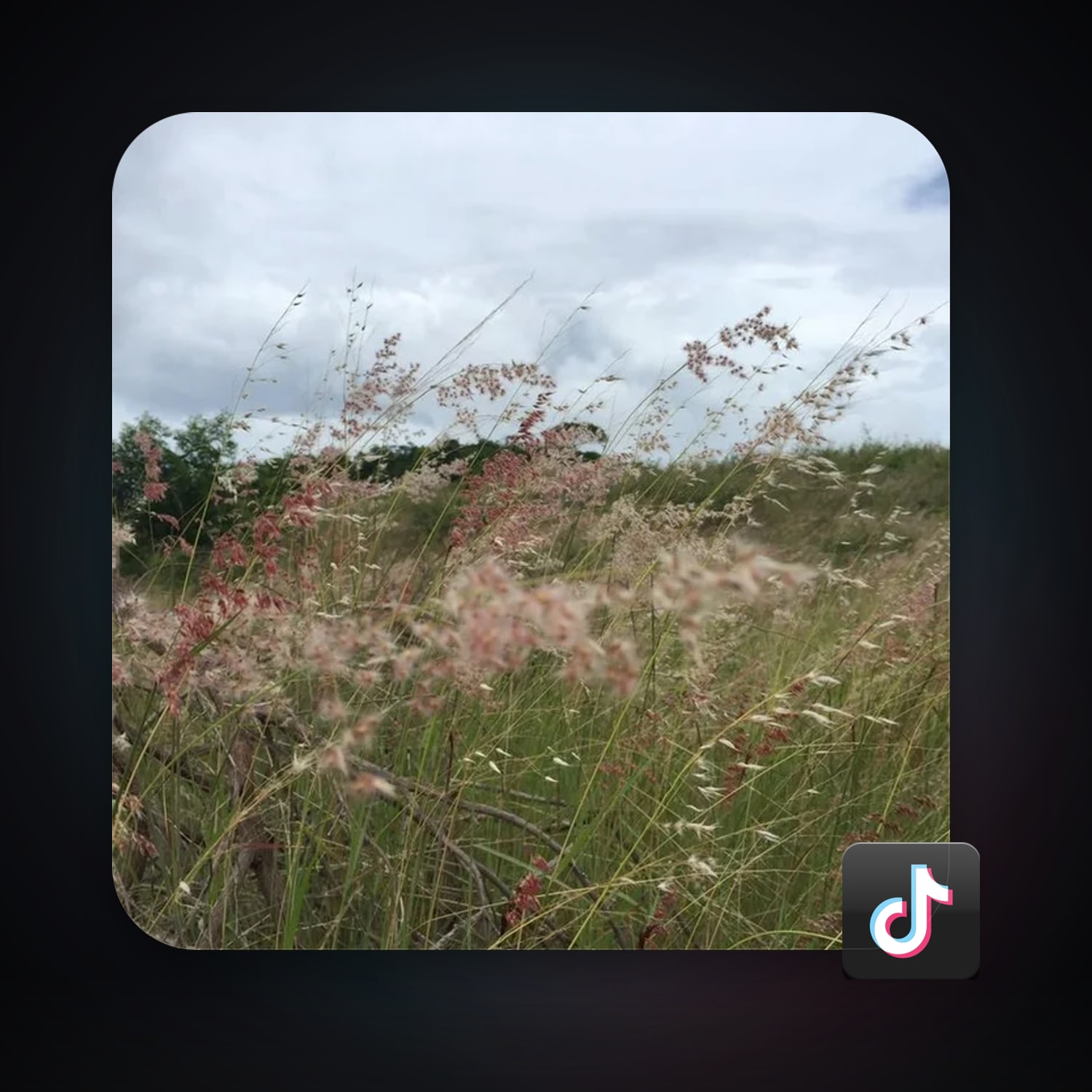 TikTok 7 followers — HabibiAccounts