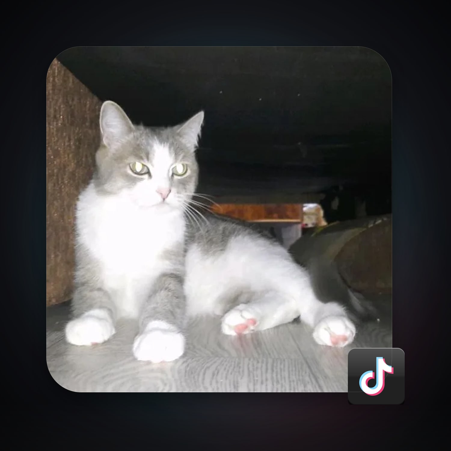 TikTok 6 followers — HabibiAccounts