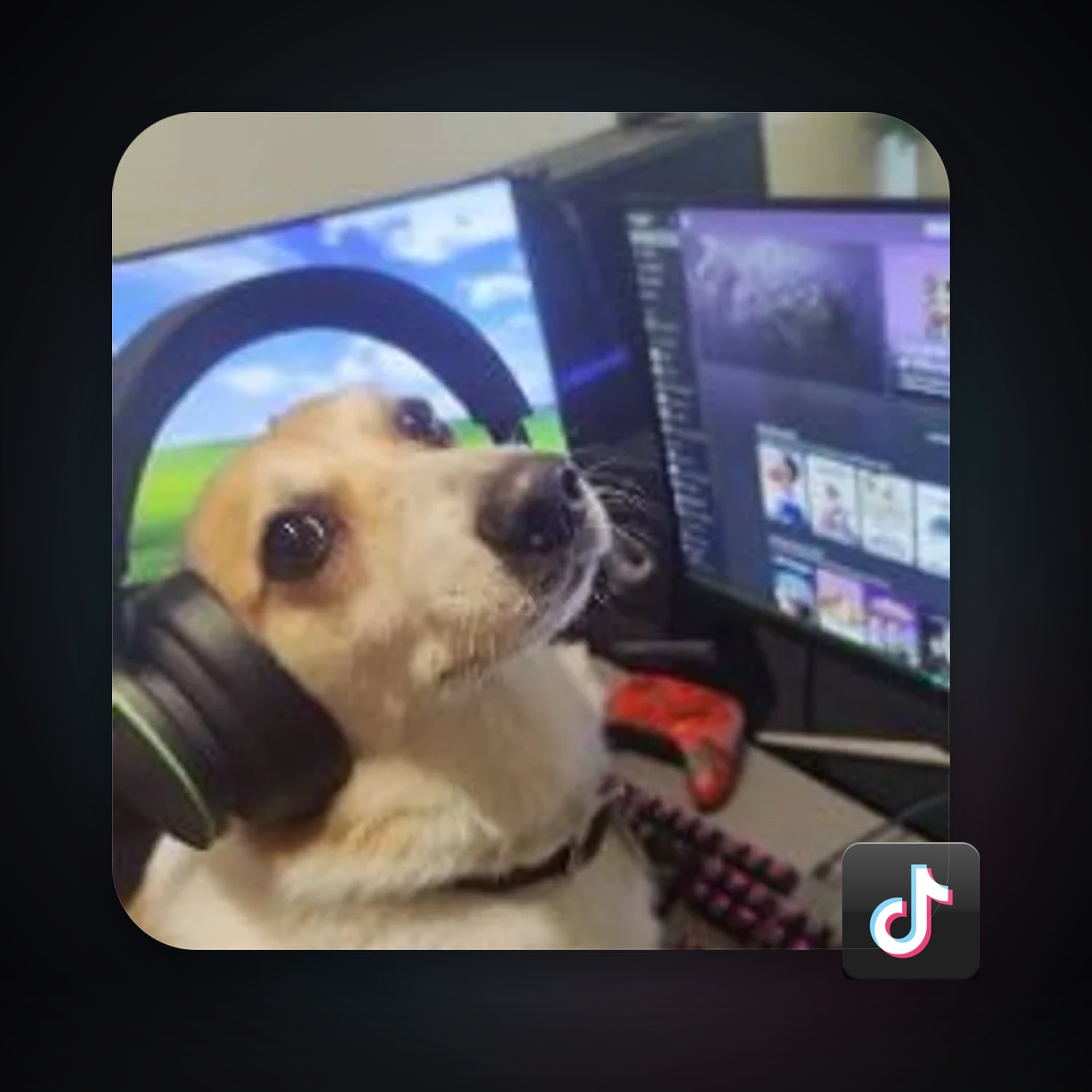 TikTok 10 followers — HabibiAccounts
