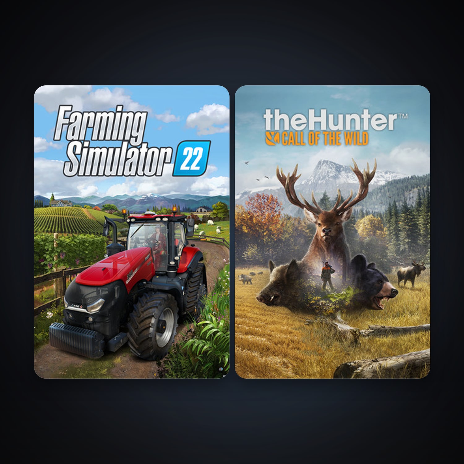 theHunter: Call of the Wild + Farming Simulator 22, 2 games, clean — HabibiAccounts