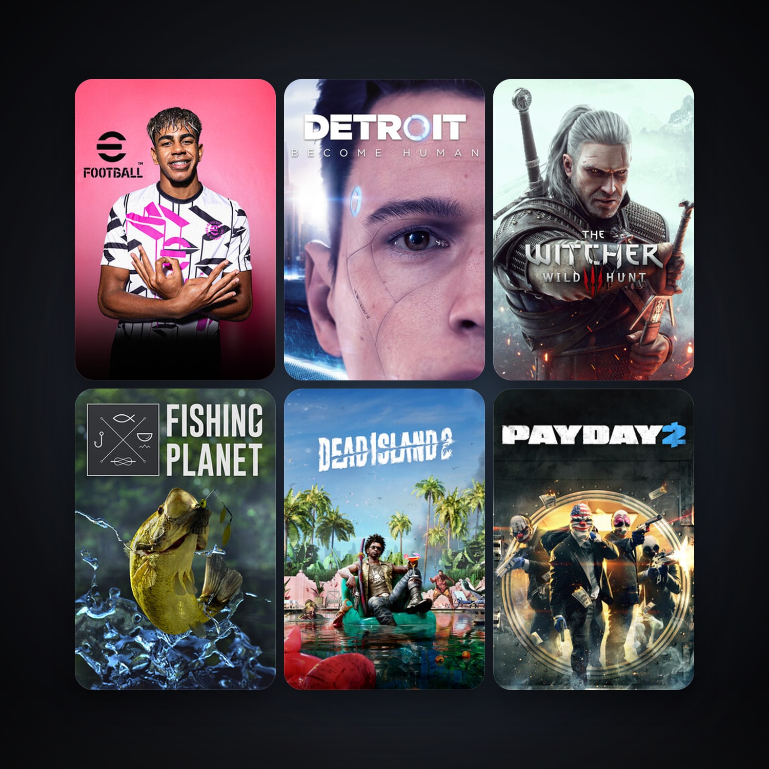 PAYDAY 2 + The Witcher 3: Wild Hunt, 29 games, clean — HabibiAccounts