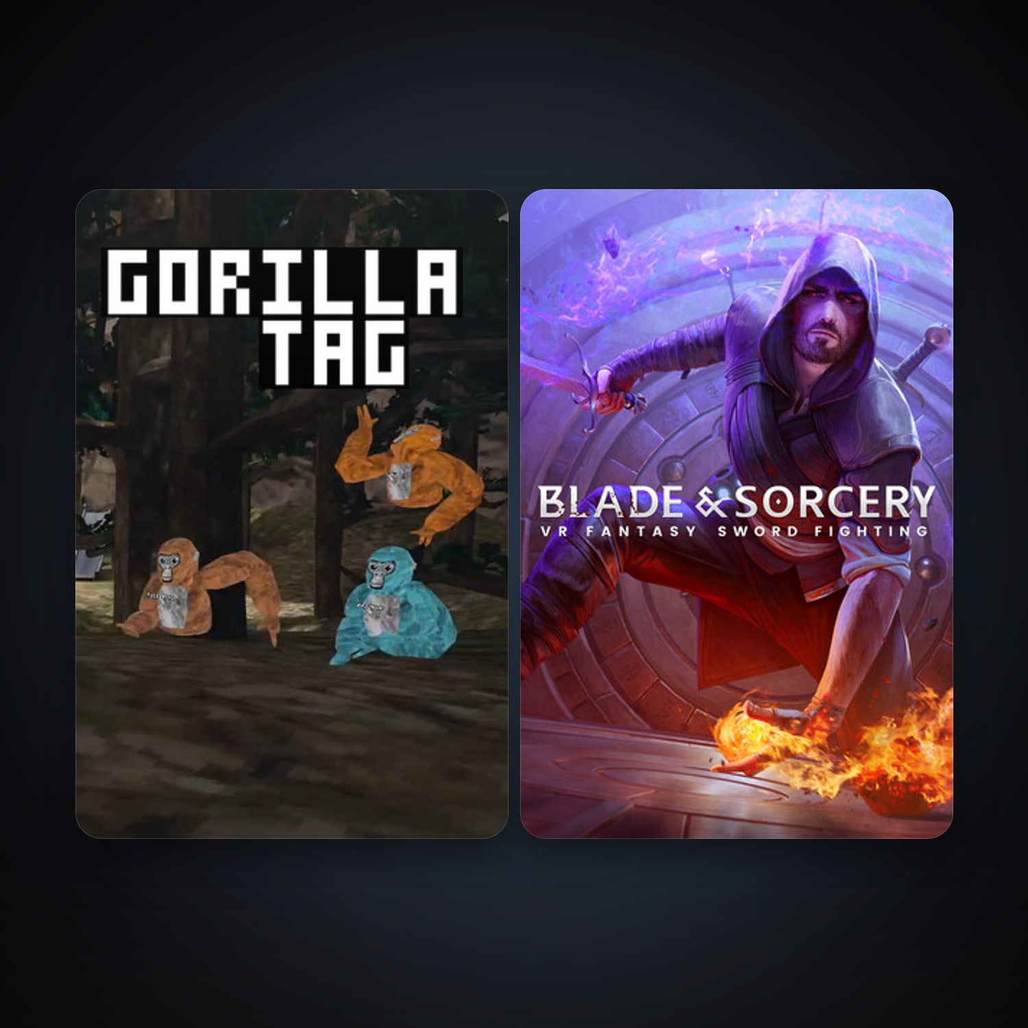 Blade and Sorcery + Gorilla Tag, 2 games, clean — HabibiAccounts
