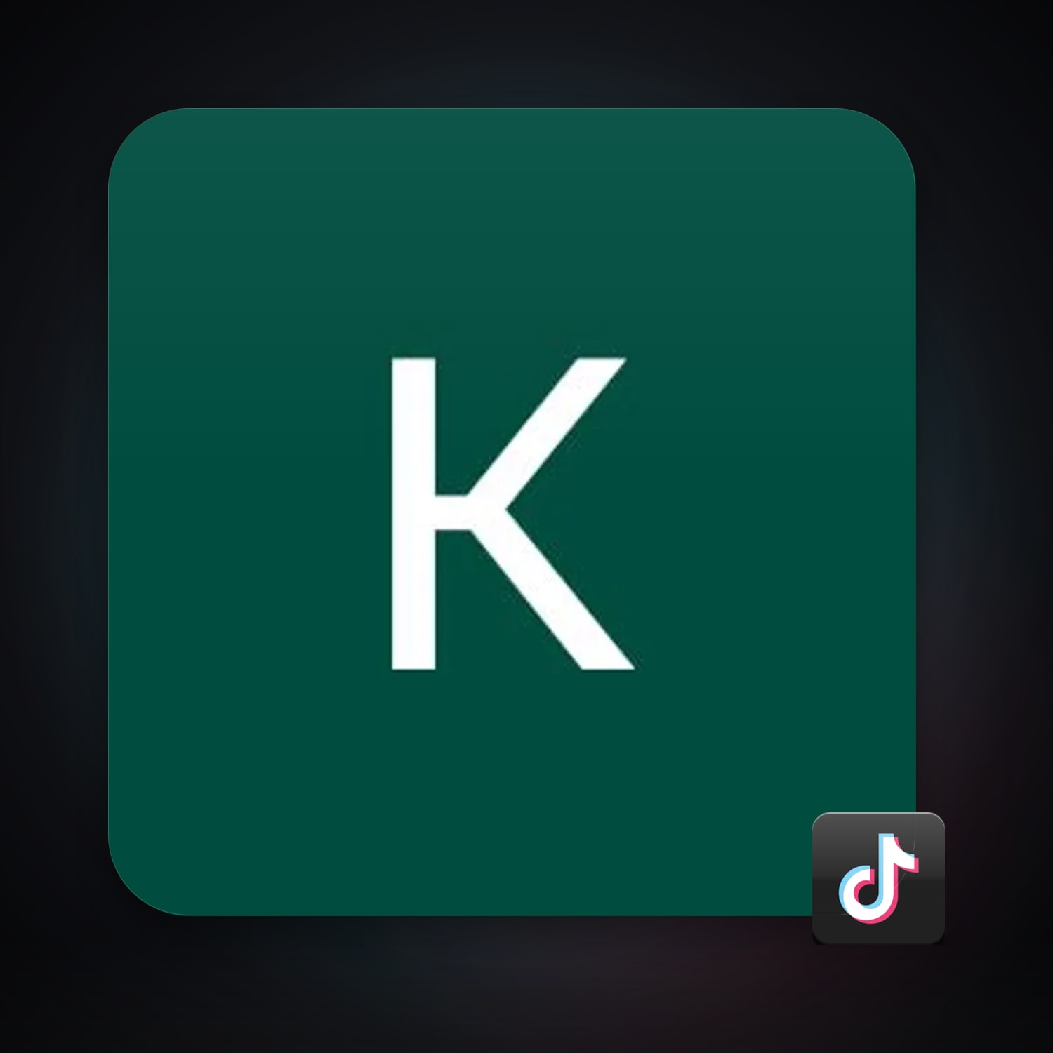 TikTok 1 followers — HabibiAccounts