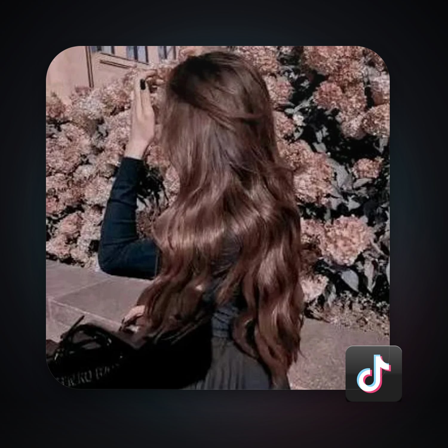 TikTok 1.2K followers · 262953630 — HabibiAccounts