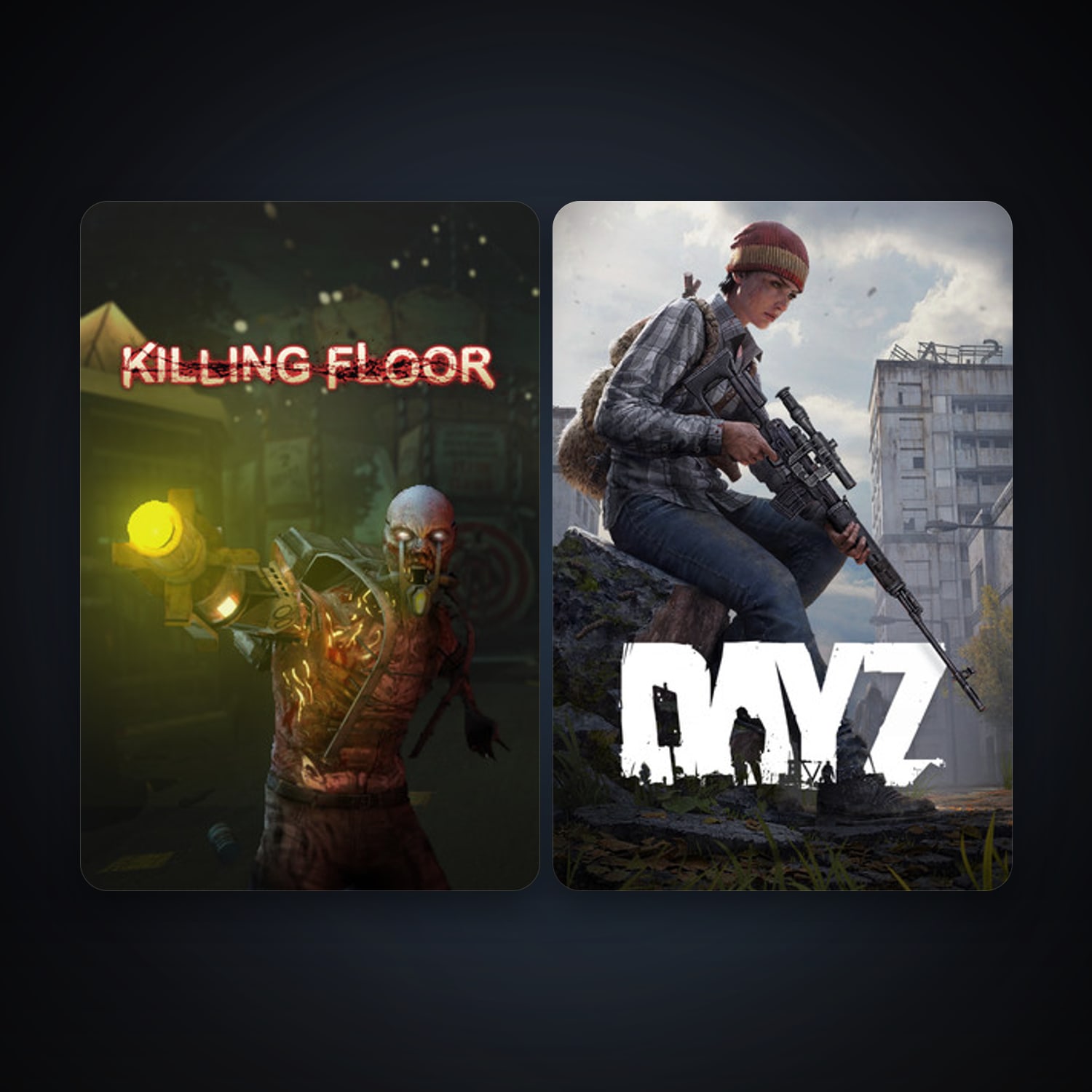 Killing Floor + DayZ, 4 games, clean — HabibiAccounts