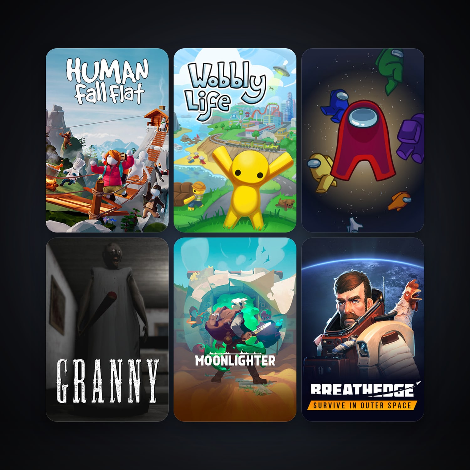 Human: Fall Flat + Moonlighter, 9 games, clean — HabibiAccounts