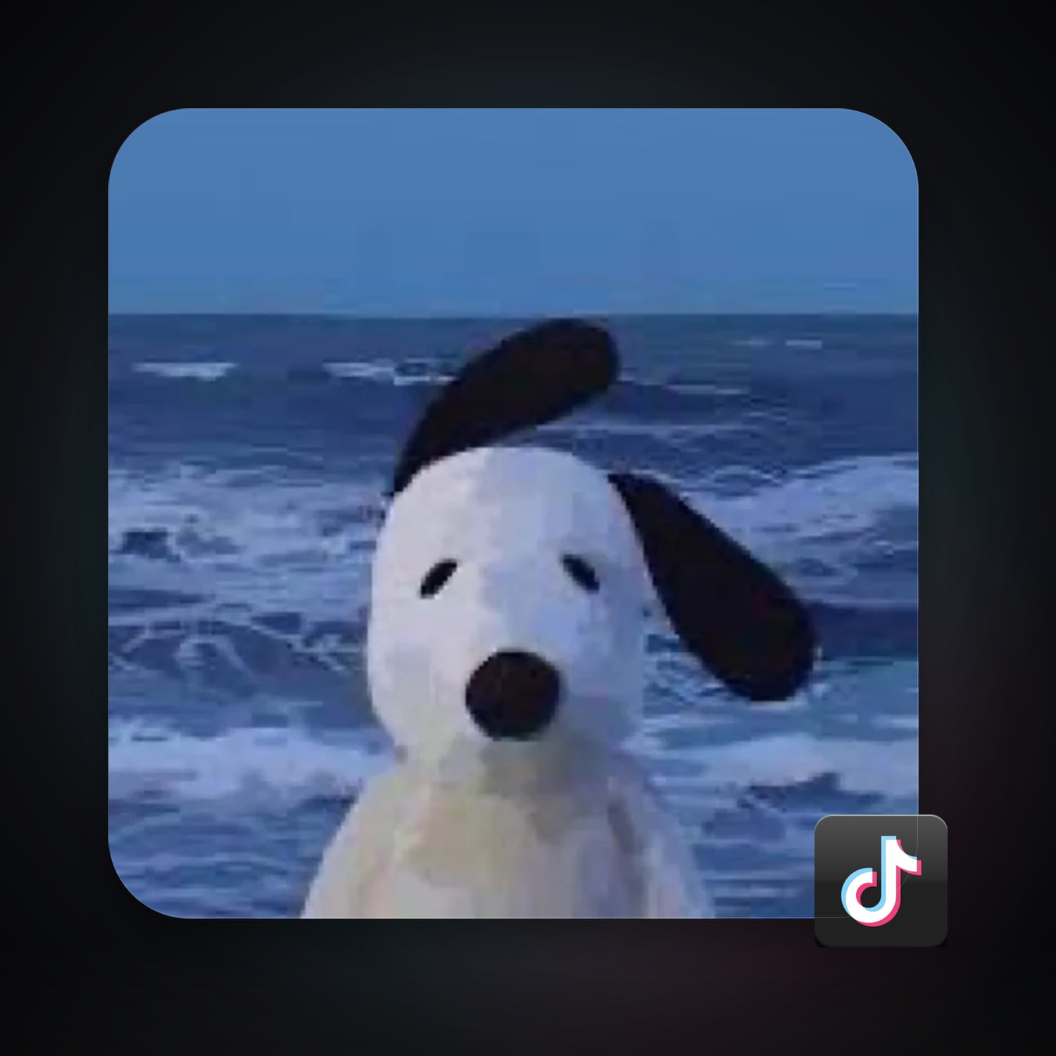 TikTok 441 followers — HabibiAccounts