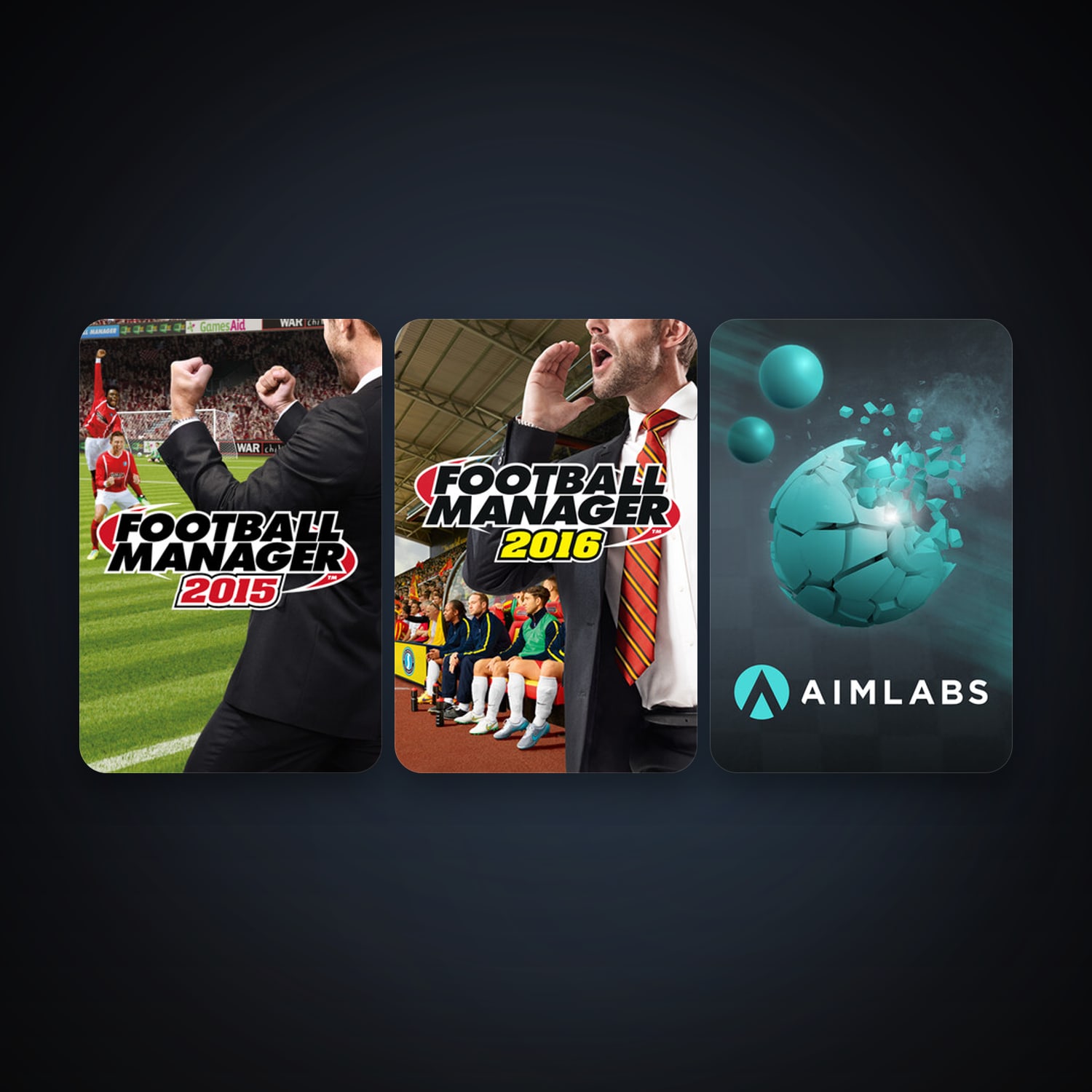 Football Manager 2015 + Football Manager 2016, 4 games, clean — HabibiAccounts